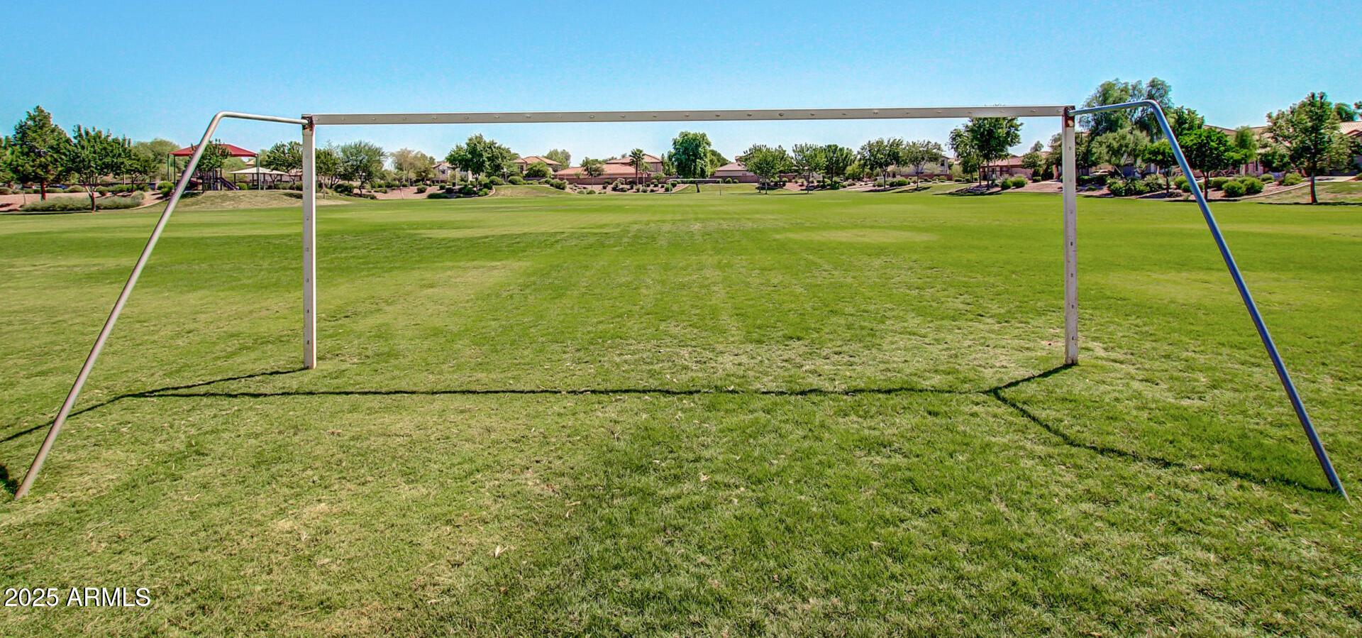 Photo #39