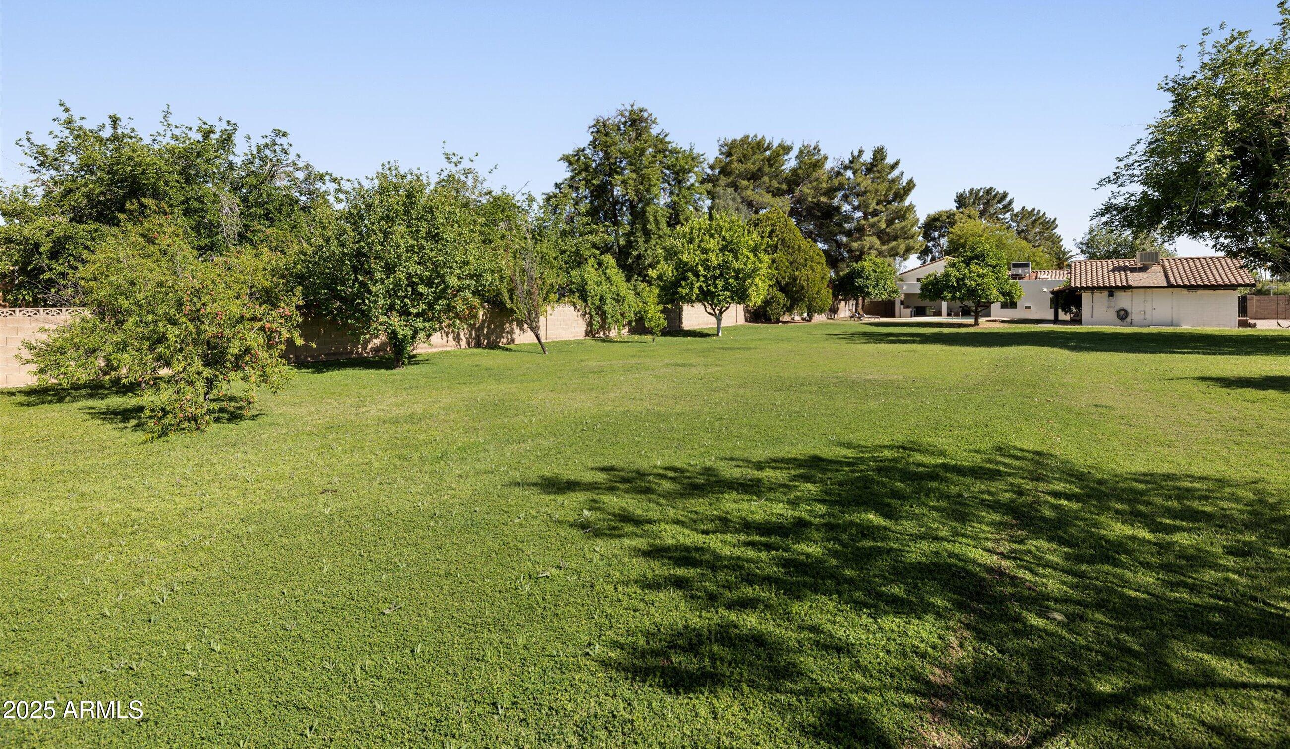 Photo #40