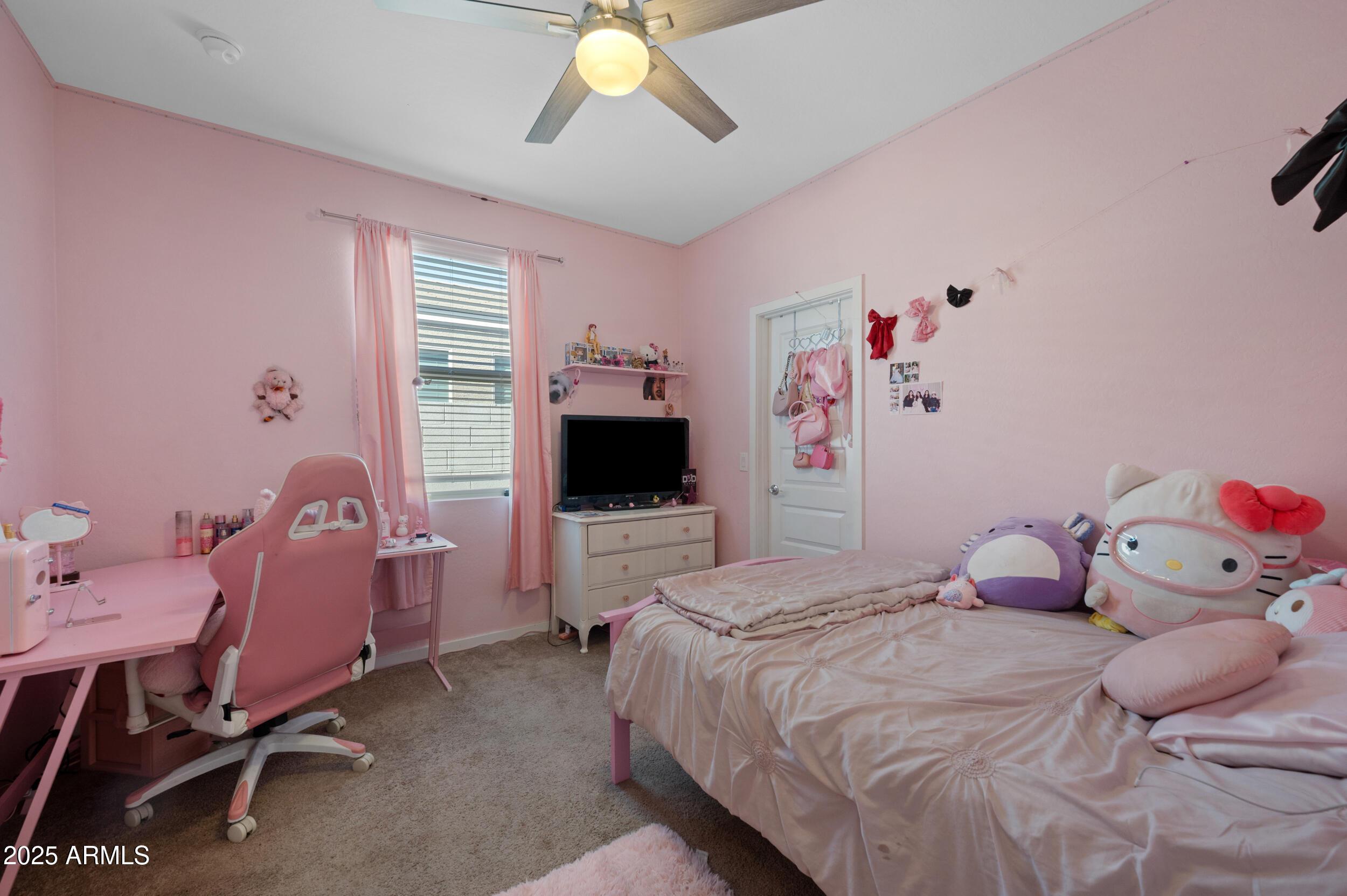 Photo #17