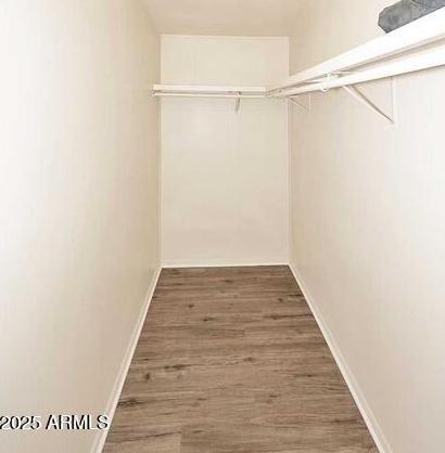 Photo #12