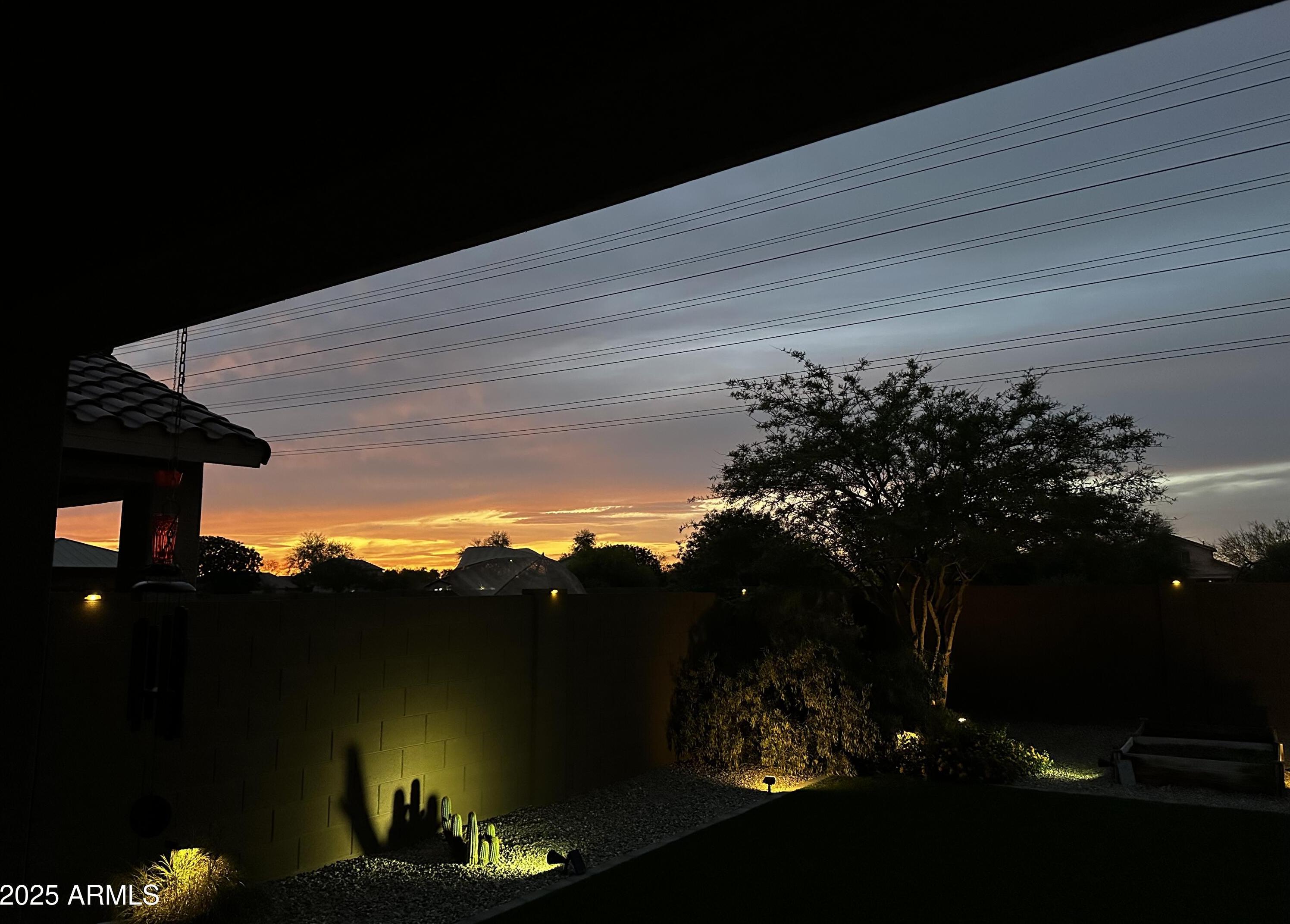 Photo #56