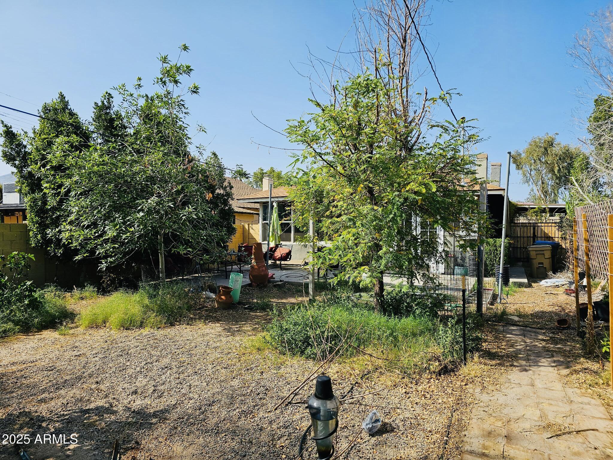 Photo #7
