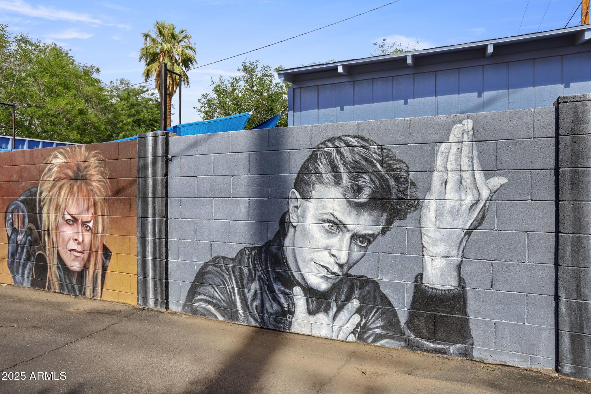 Photo #60