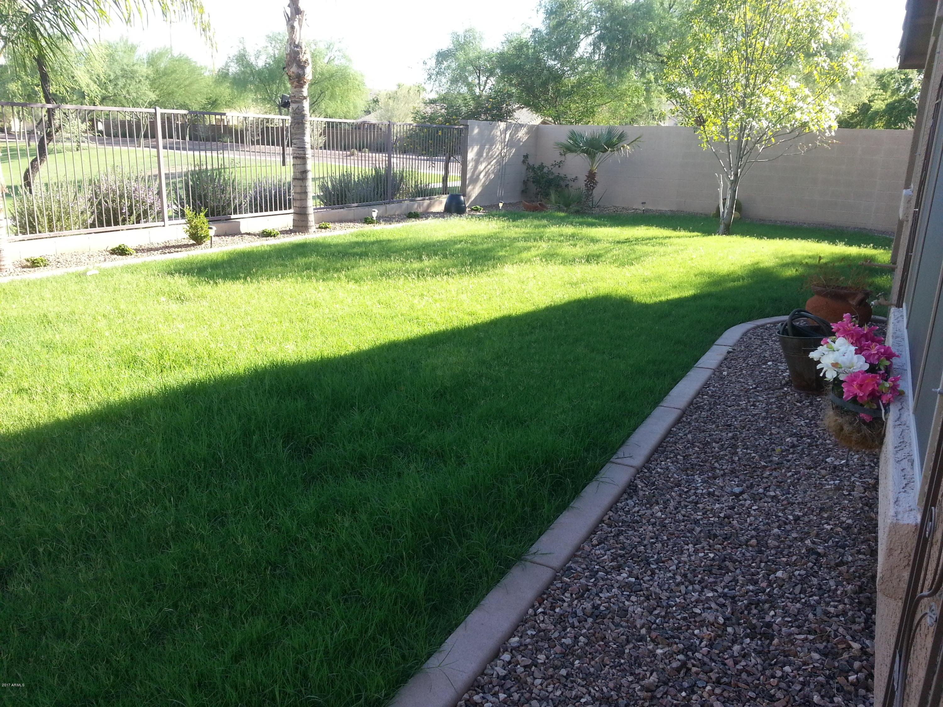 Photo #24