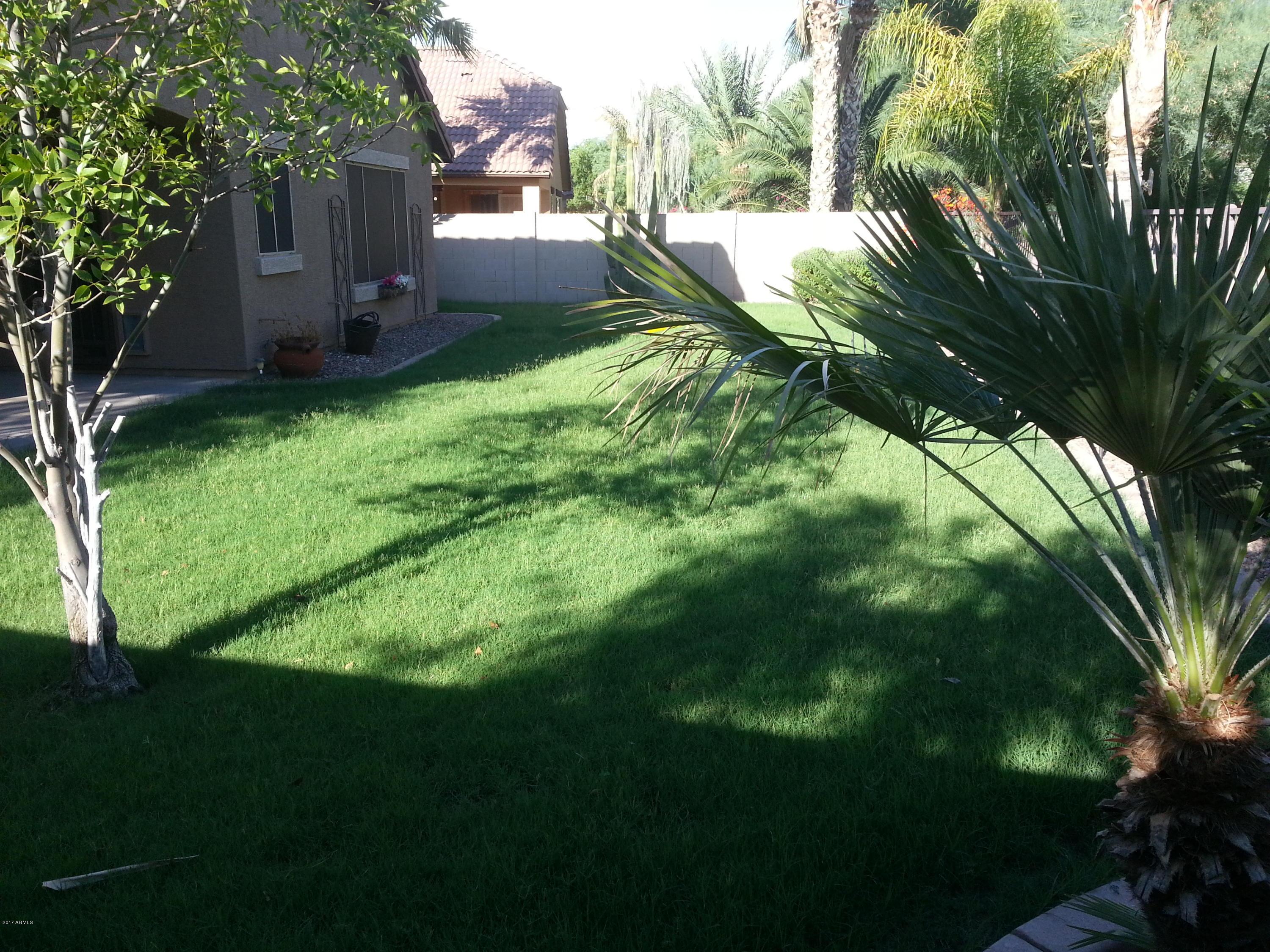 Photo #21