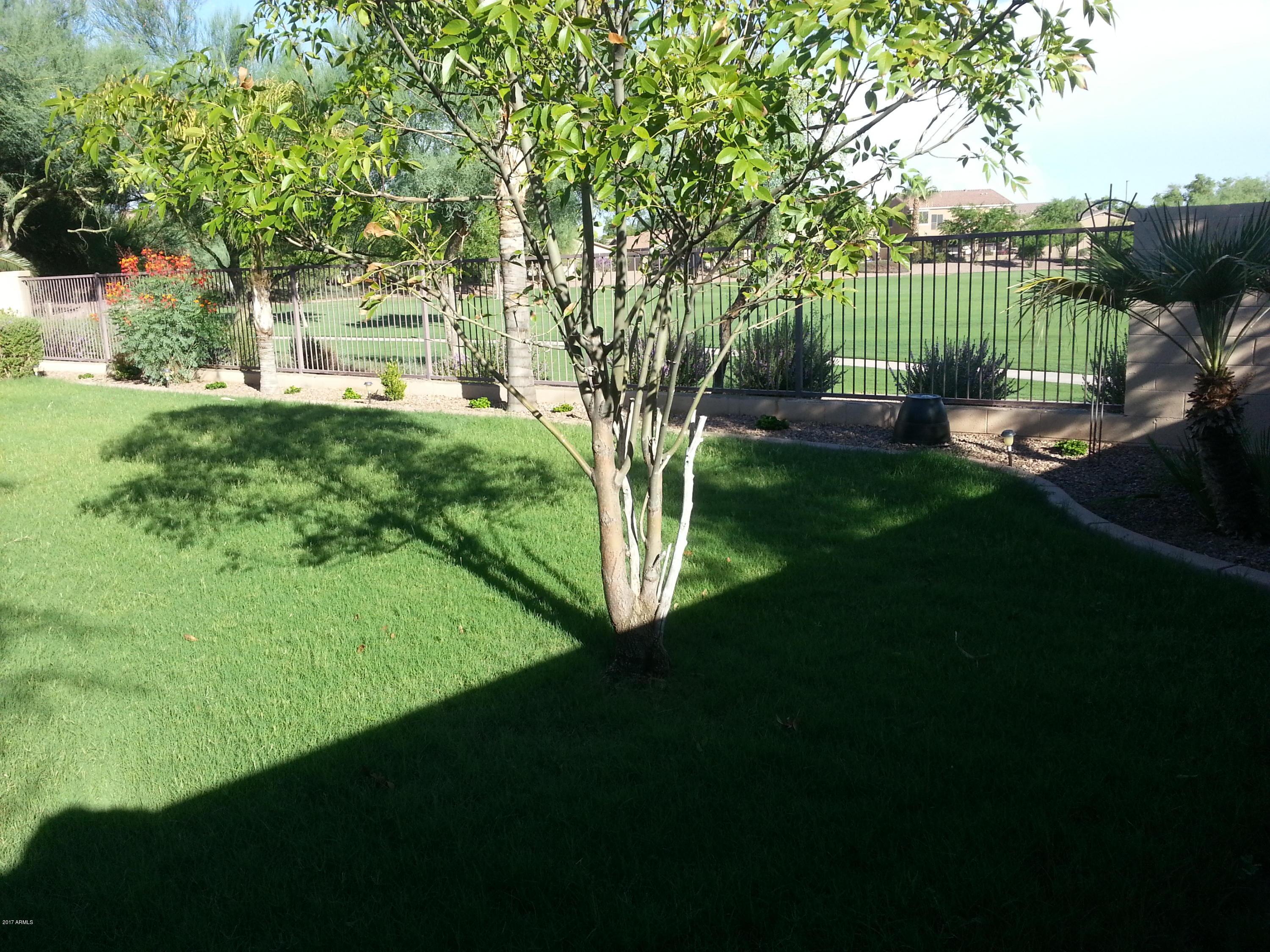 Photo #3