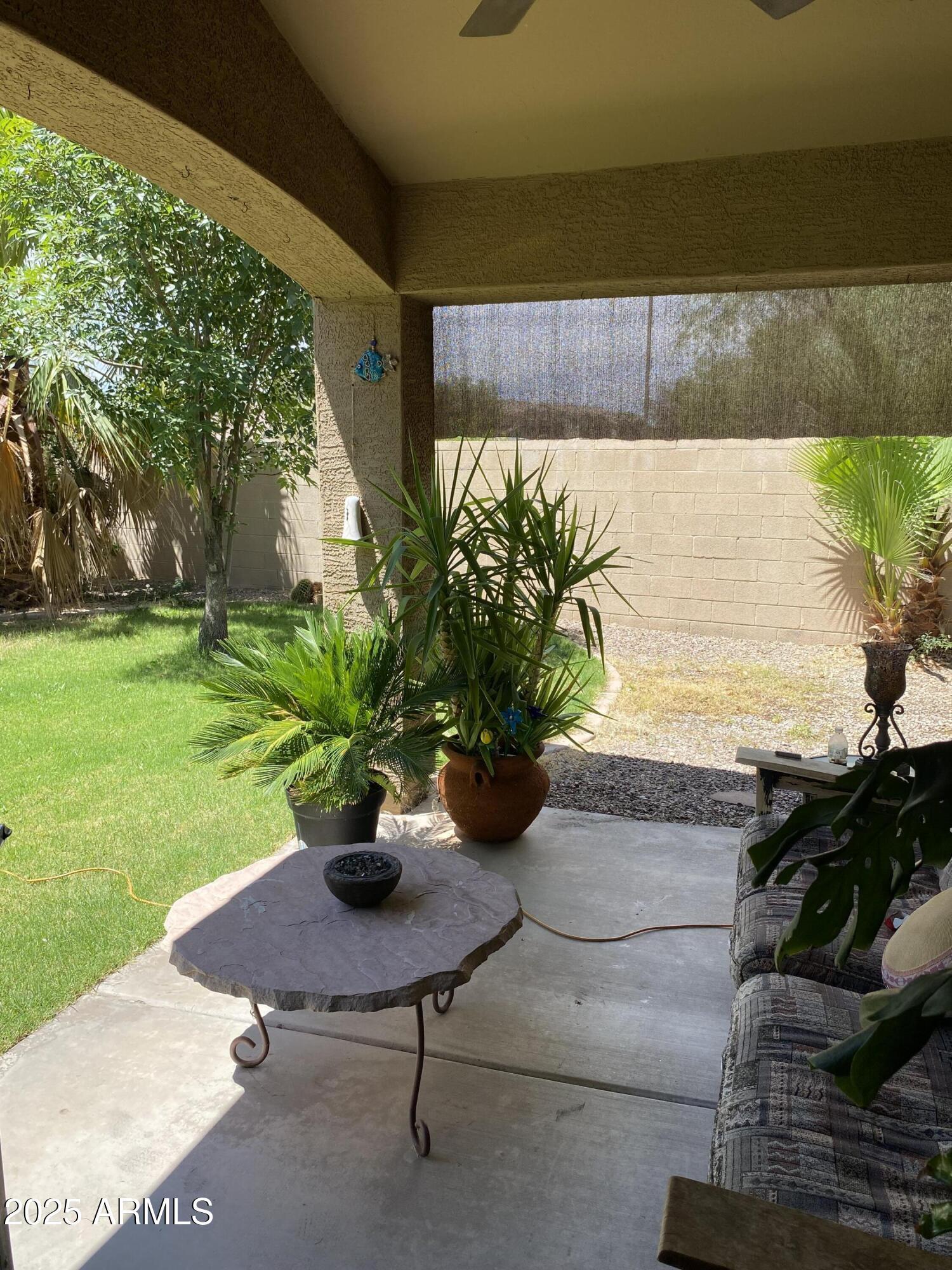 Photo #24