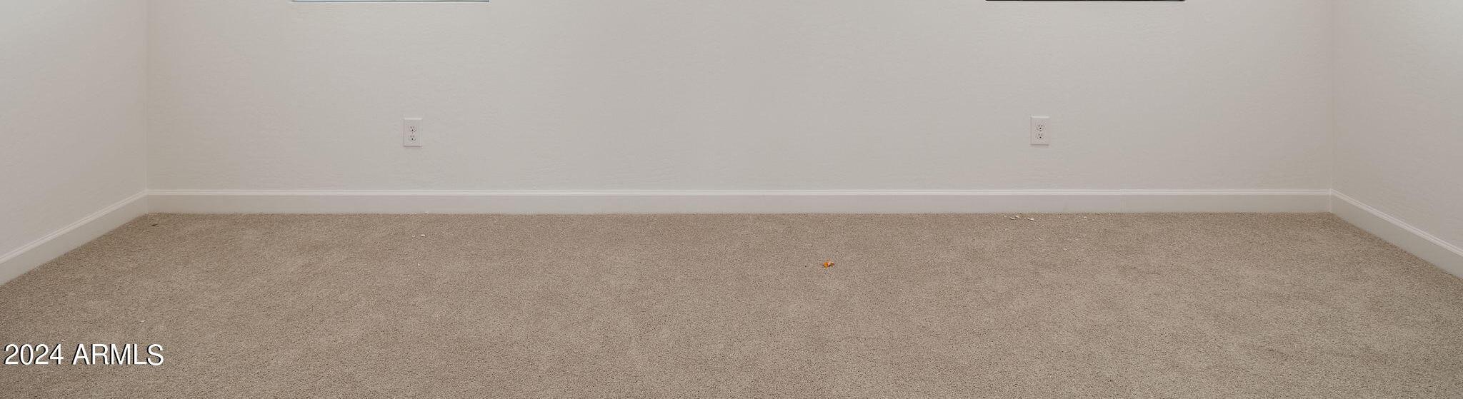 Photo #14