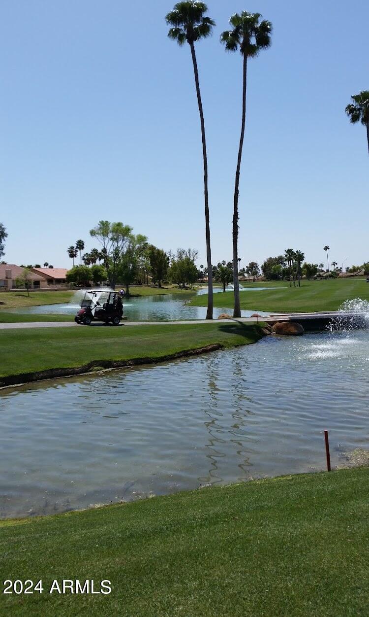 Photo #49