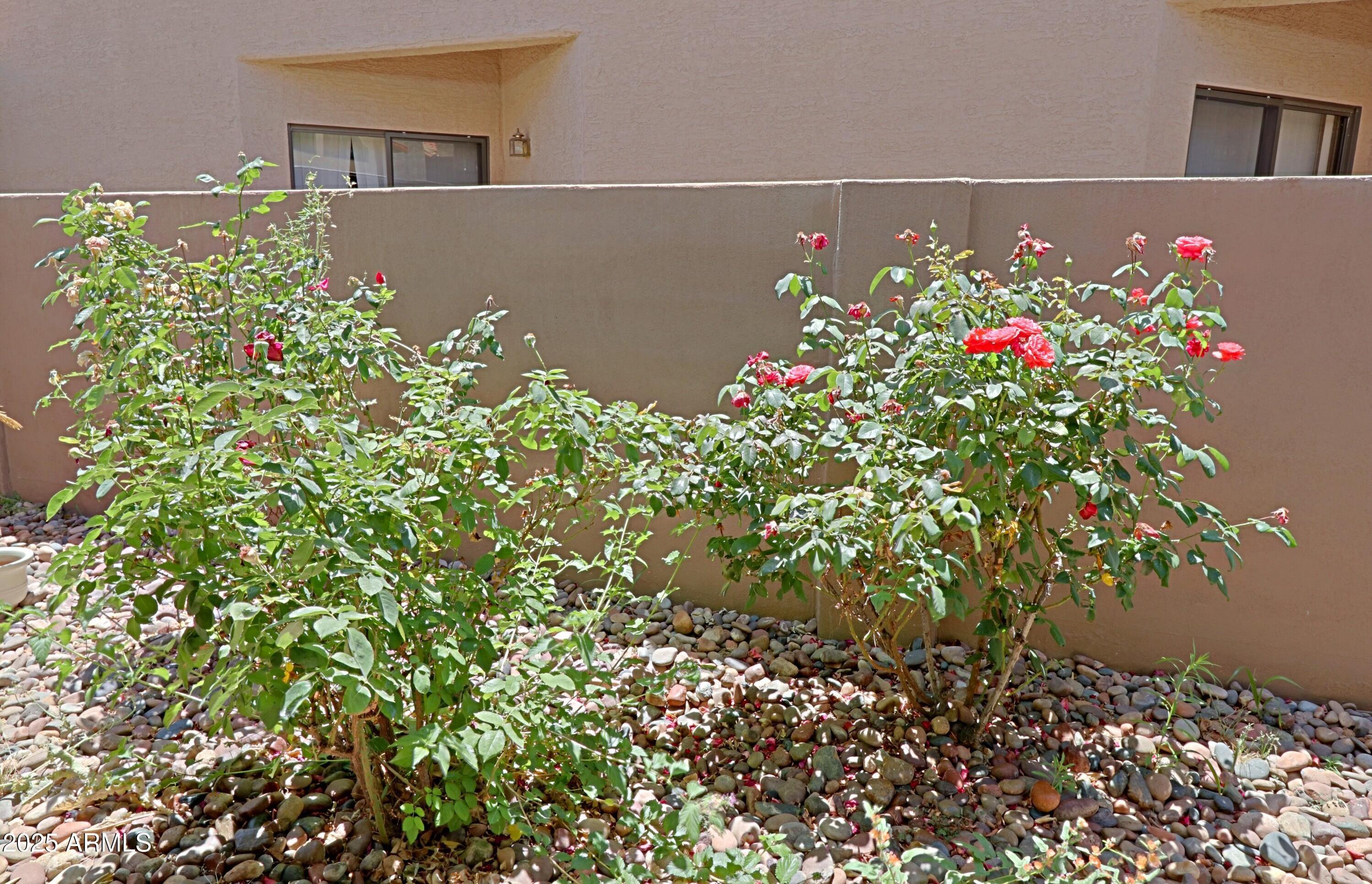 Photo #51