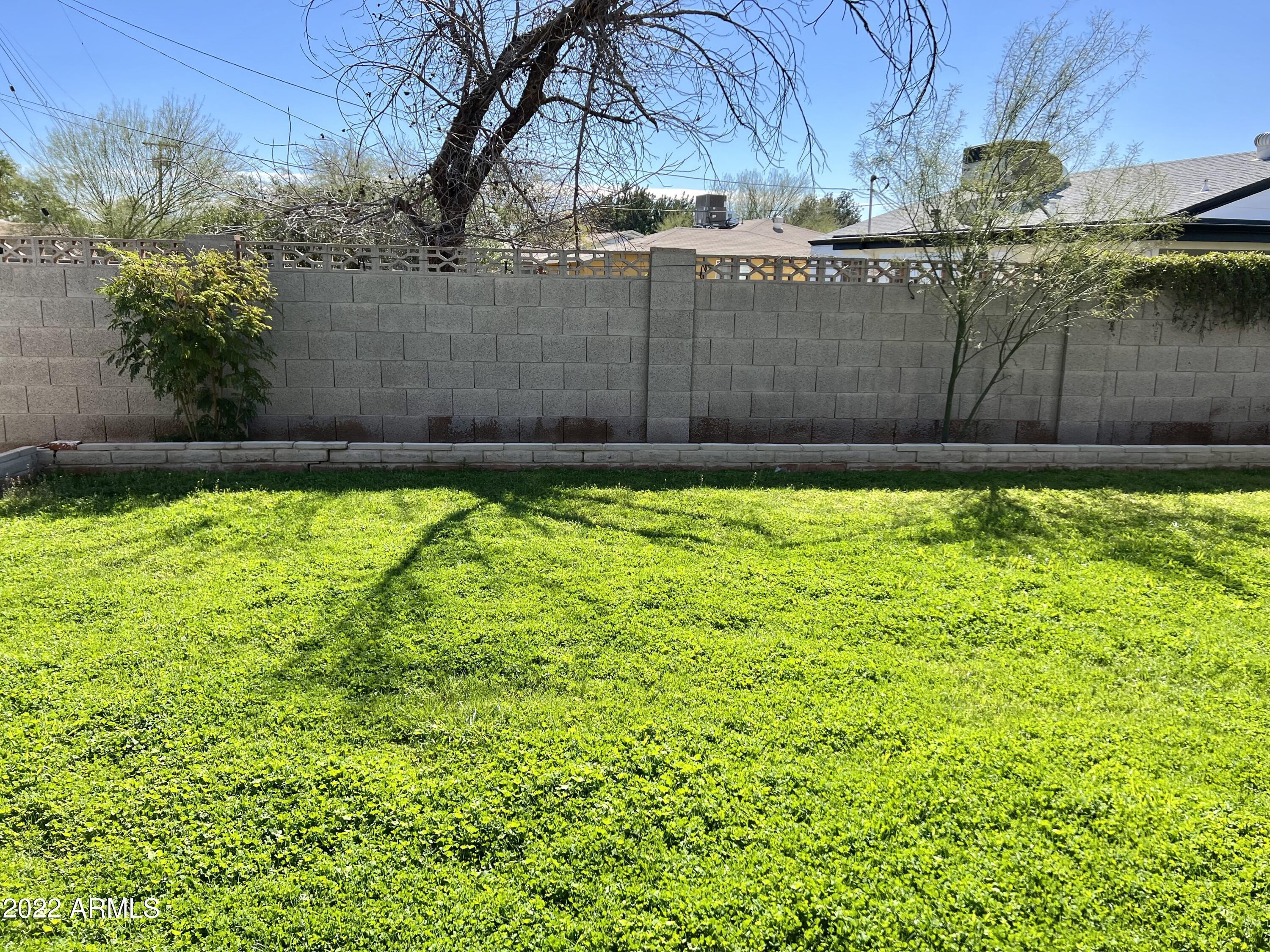 Photo #22
