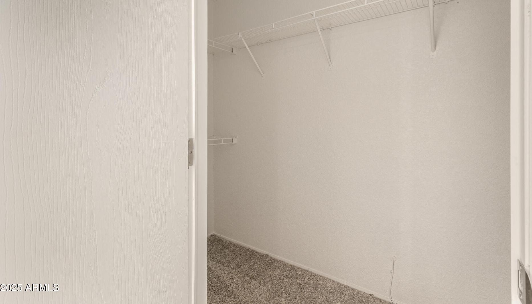 Photo #24