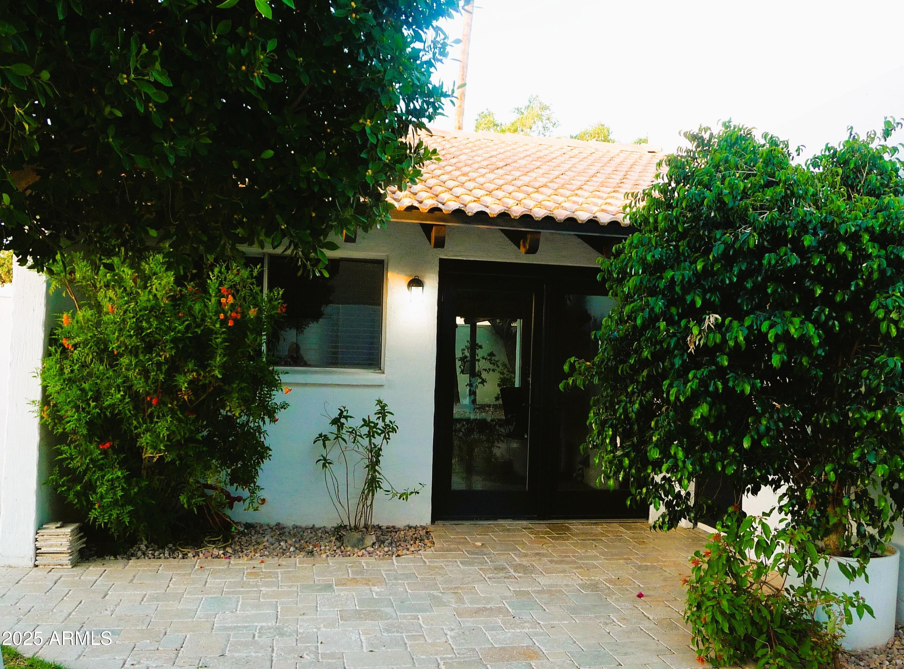 Photo #16