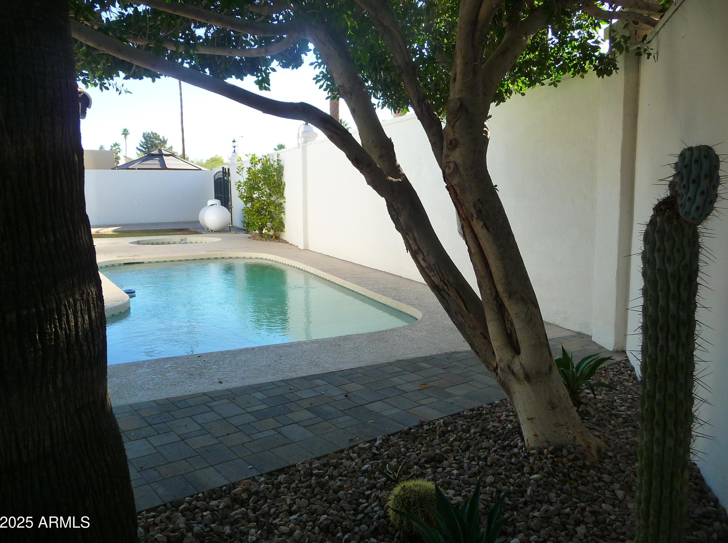 Photo #11