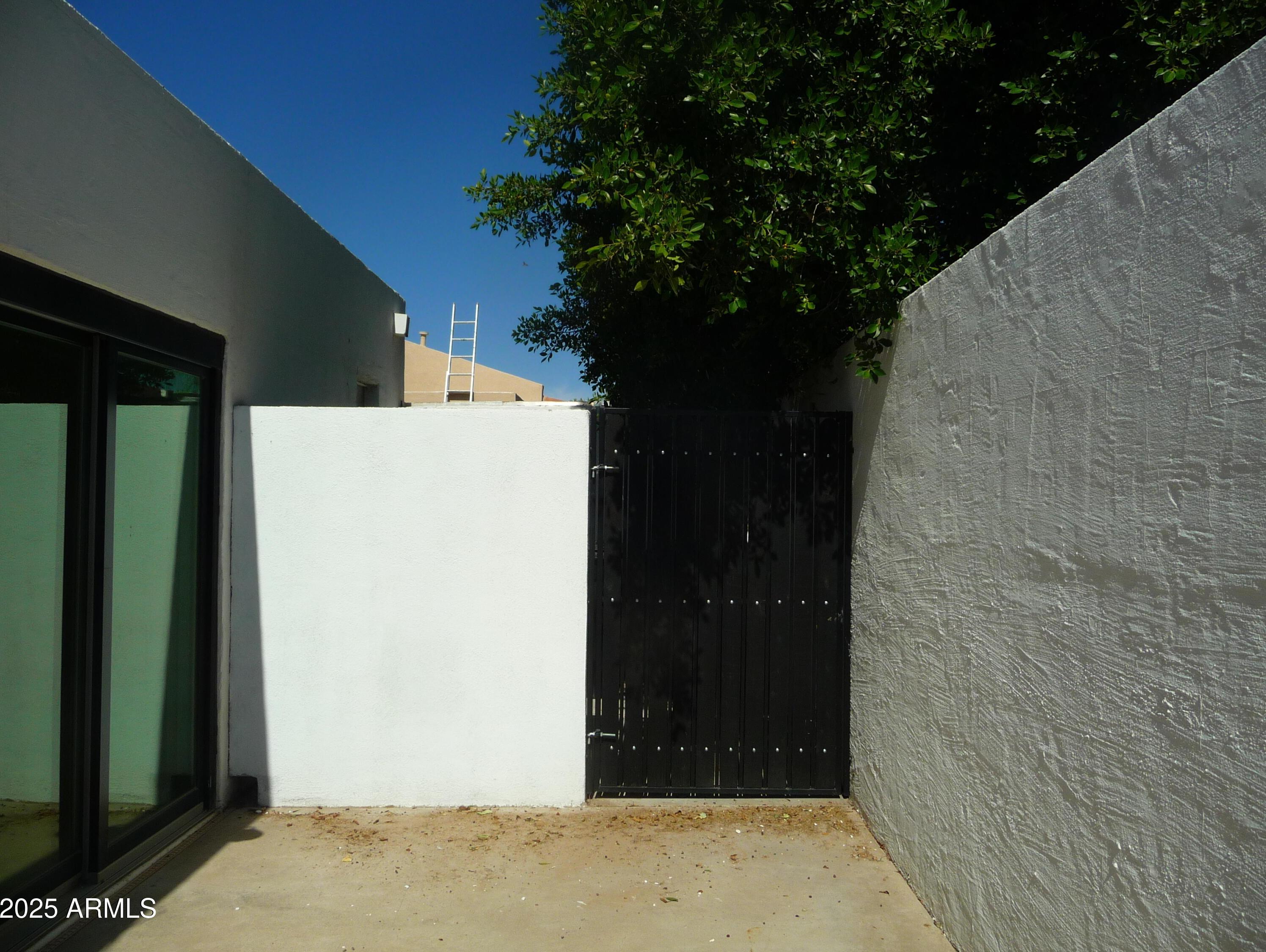 Photo #10