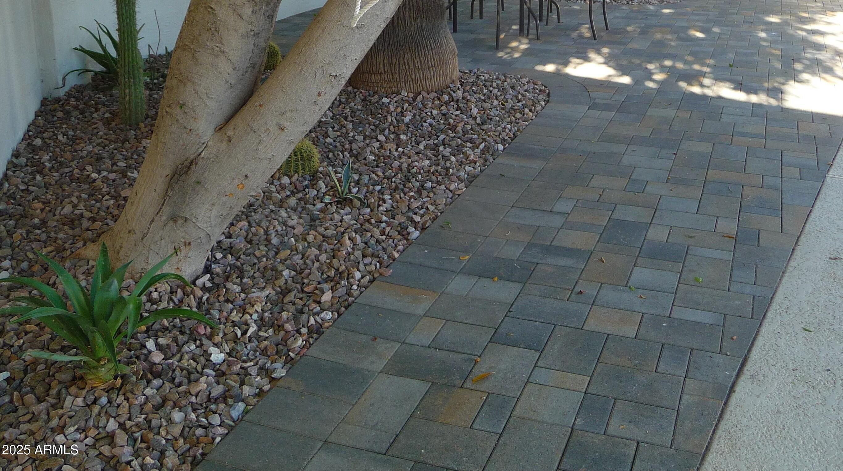 Photo #11