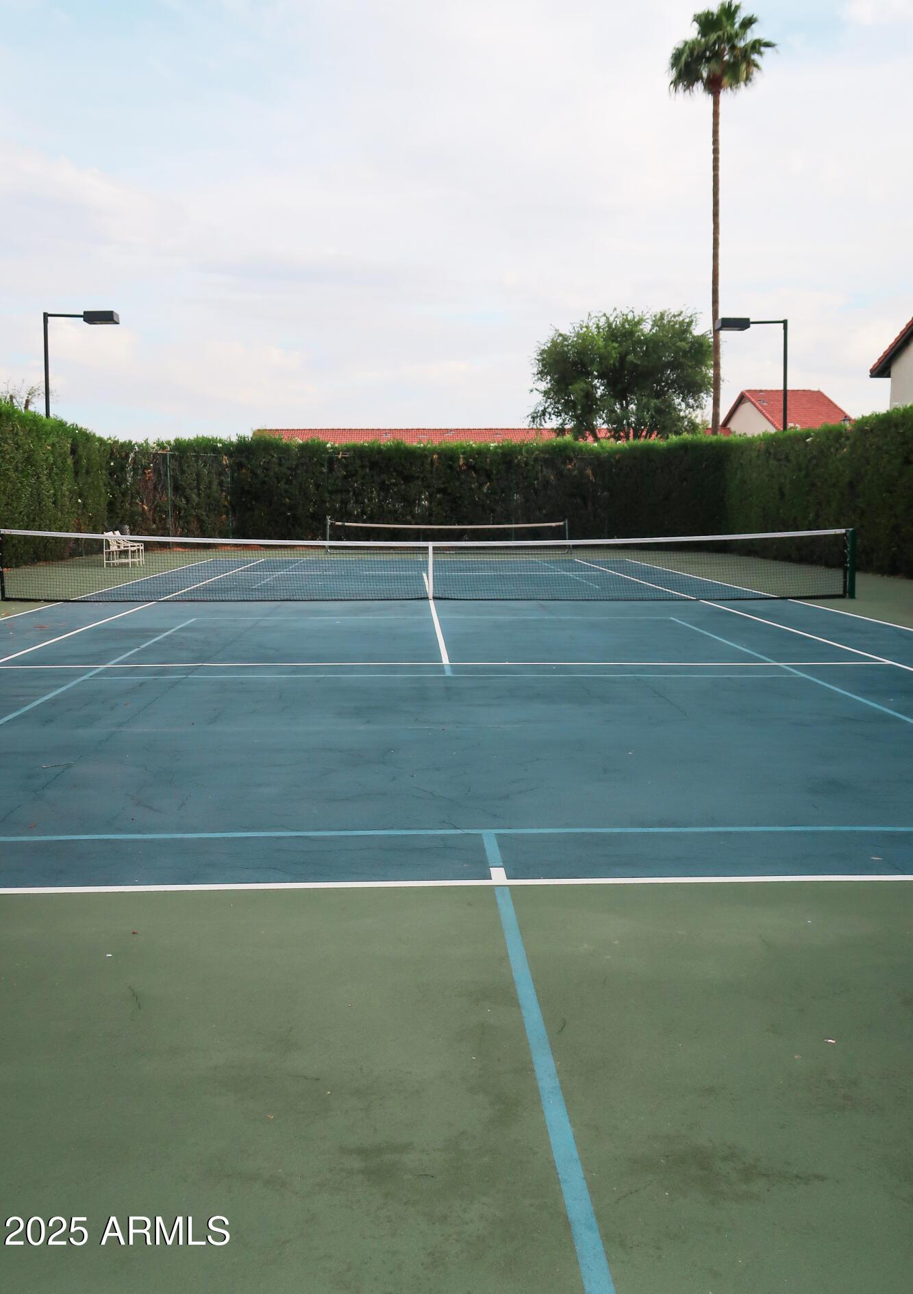 Photo #39