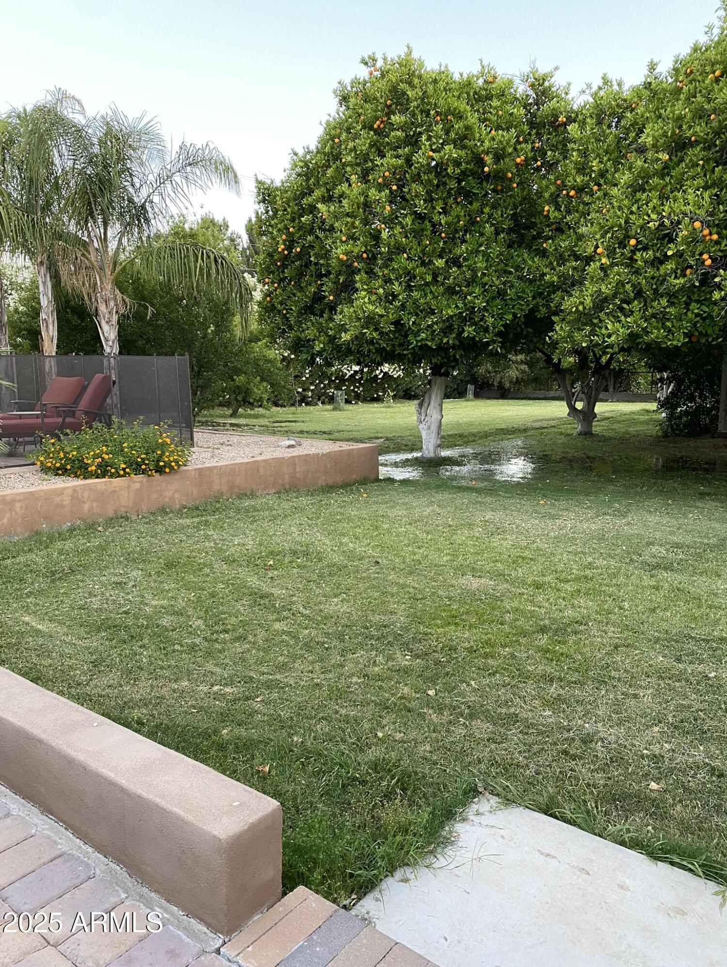 Photo #43