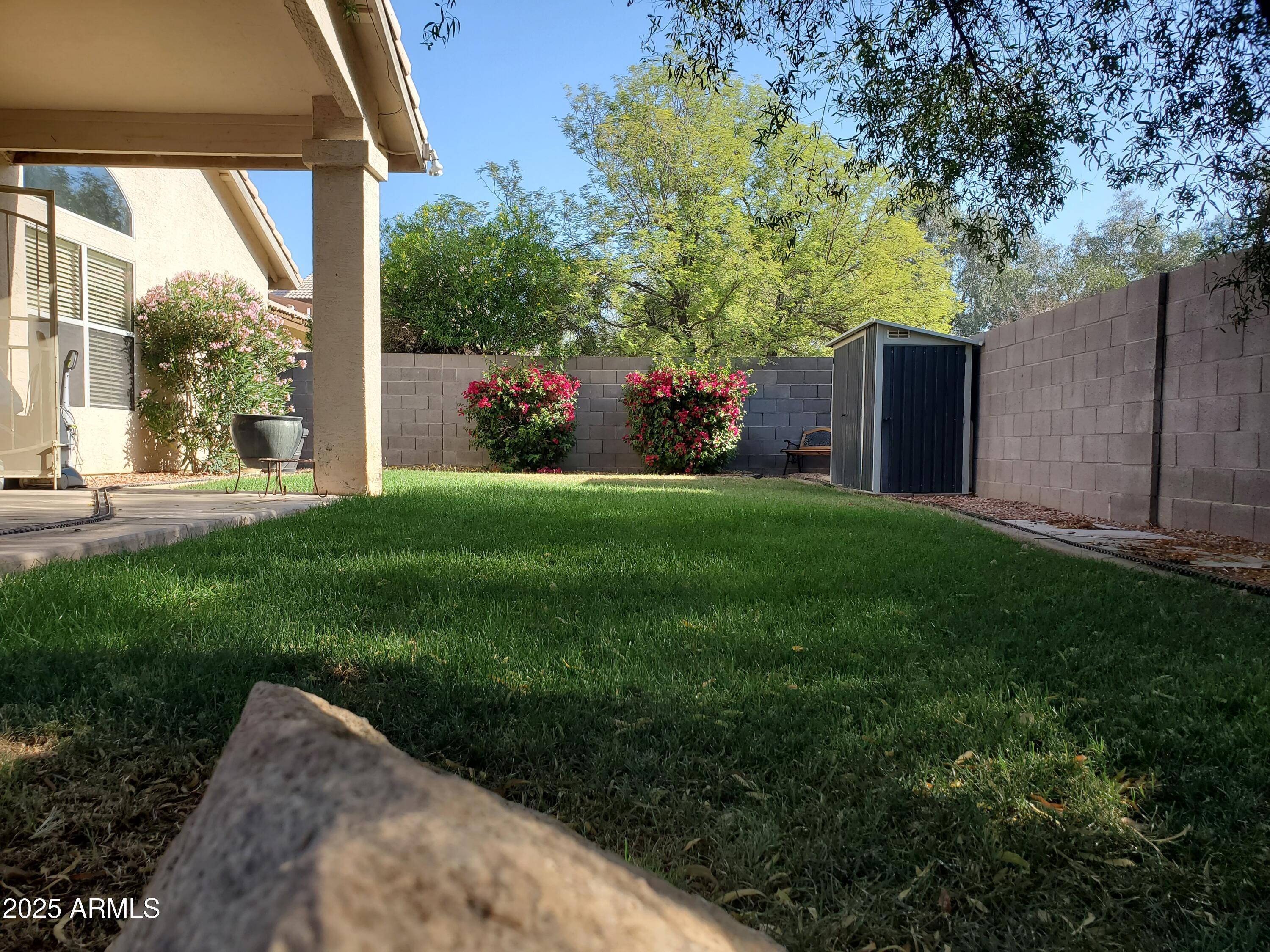 Photo #32