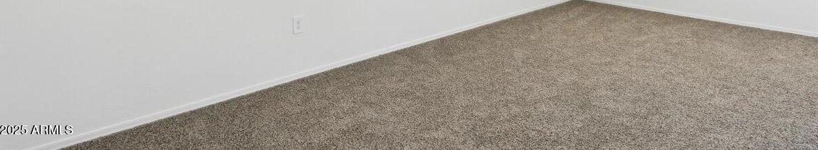 Photo #11