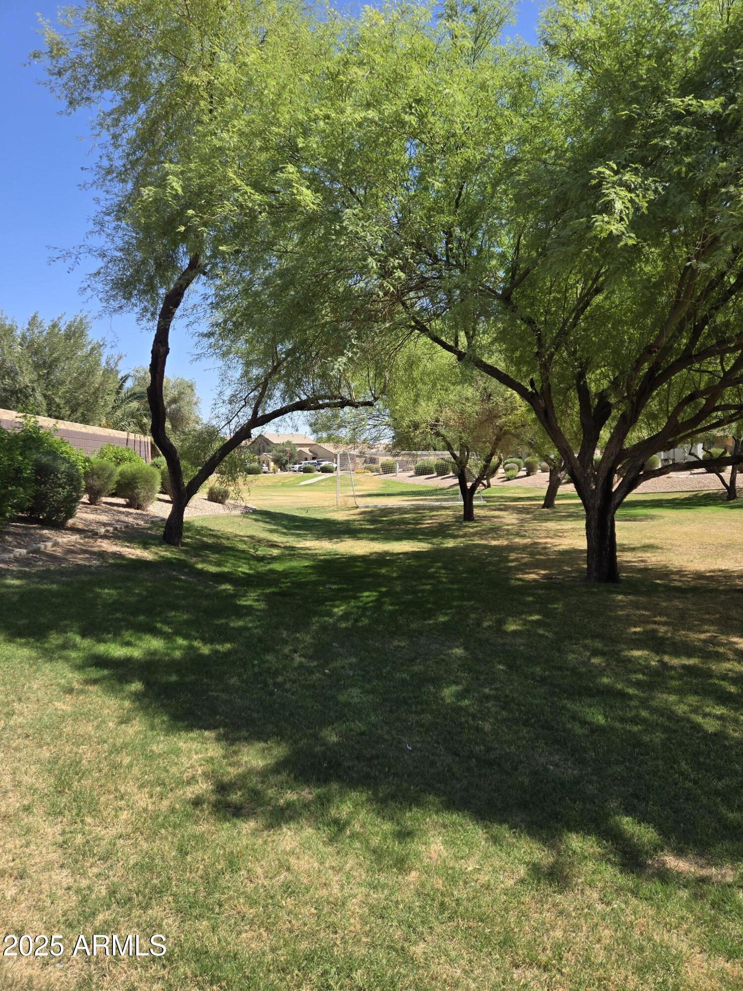 Photo #36