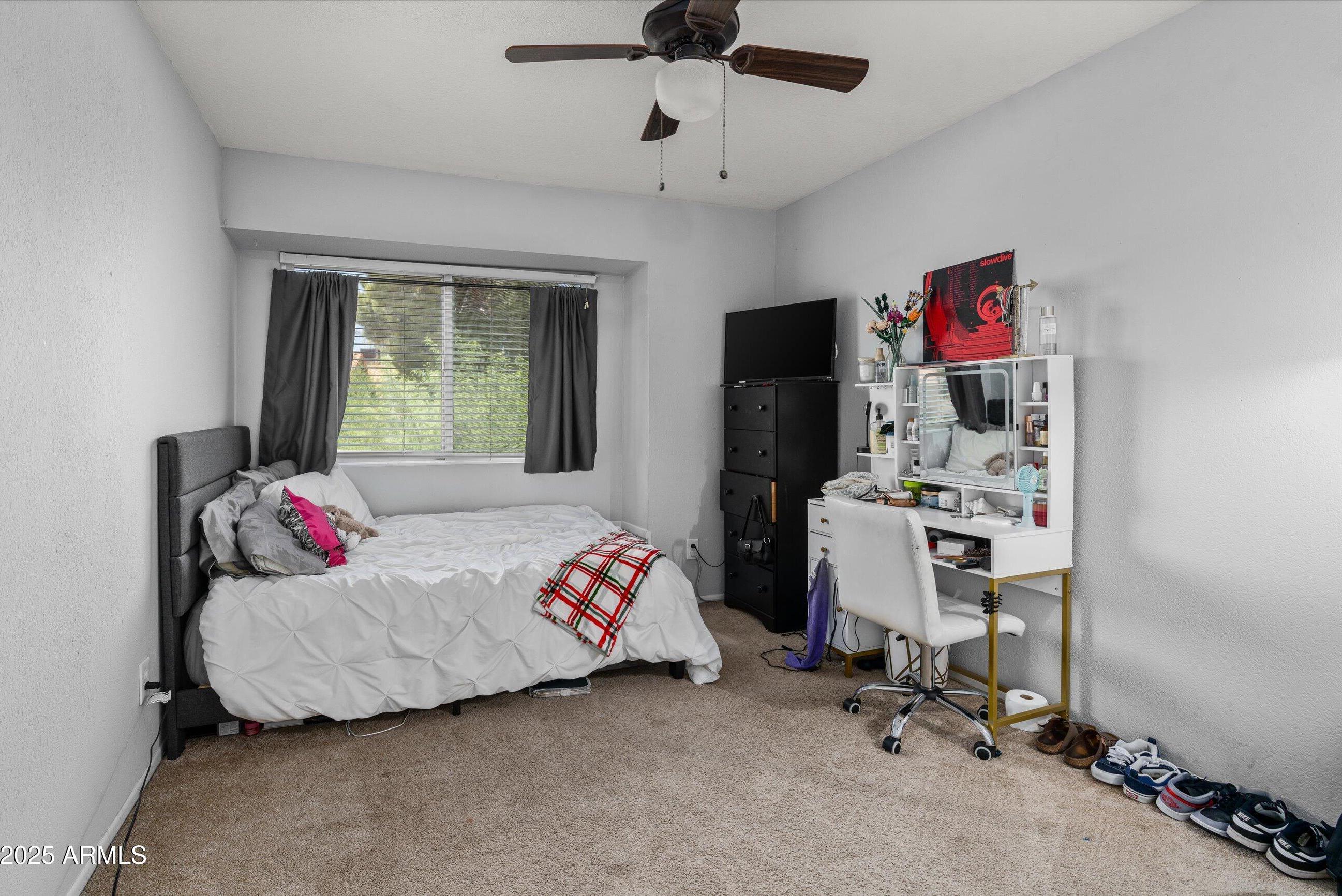 Photo #19