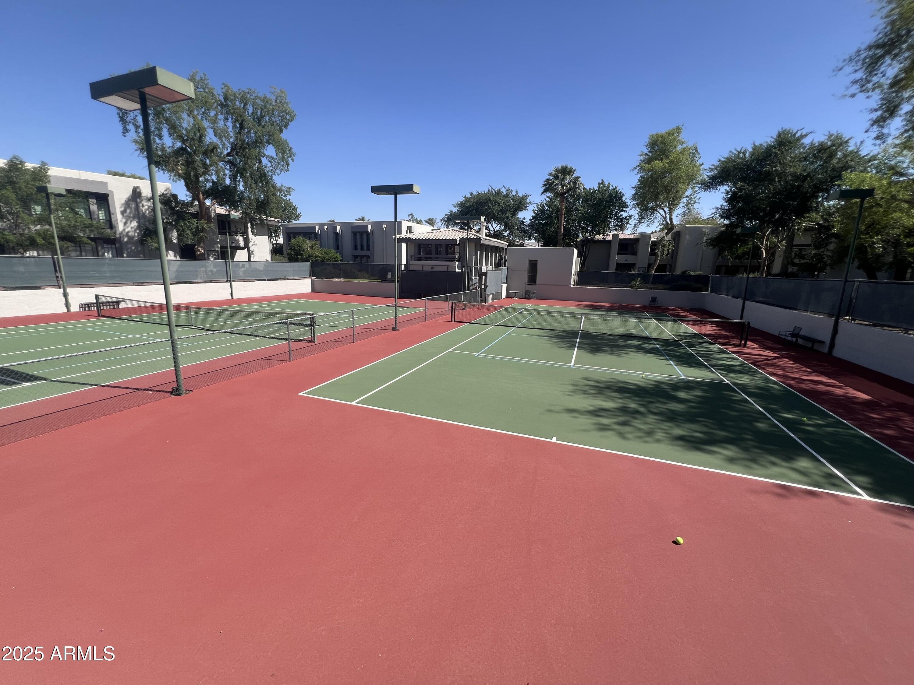 Photo #14
