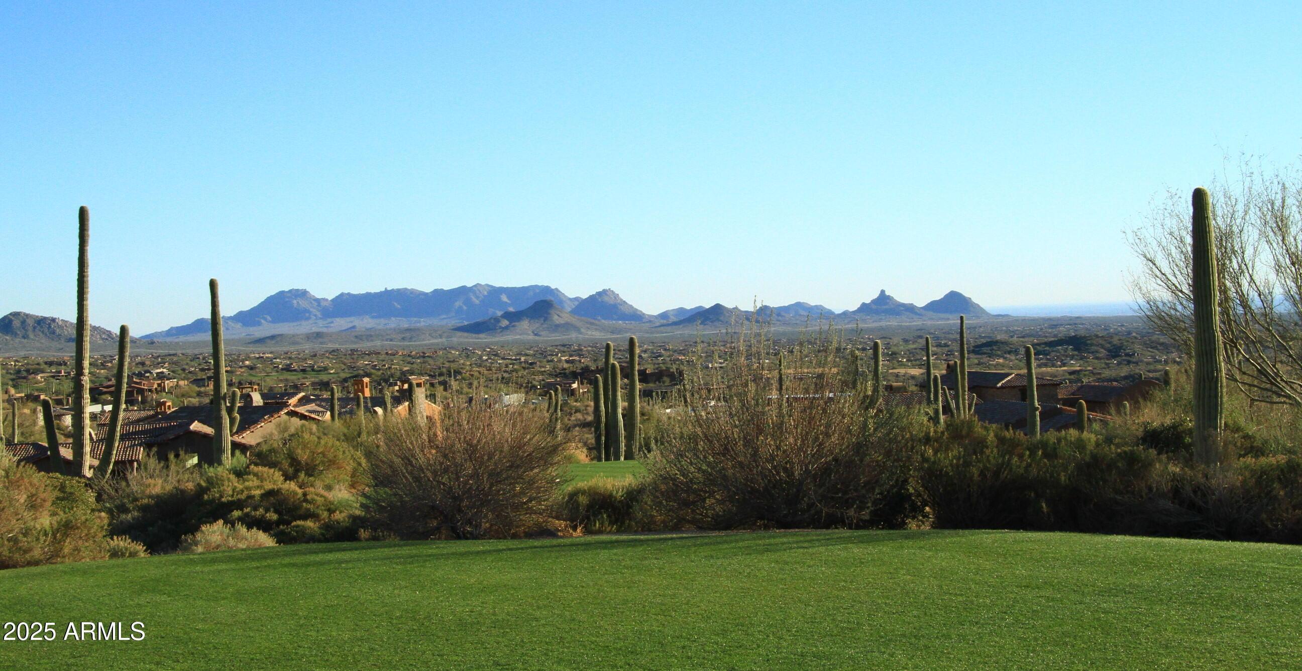 Photo #96