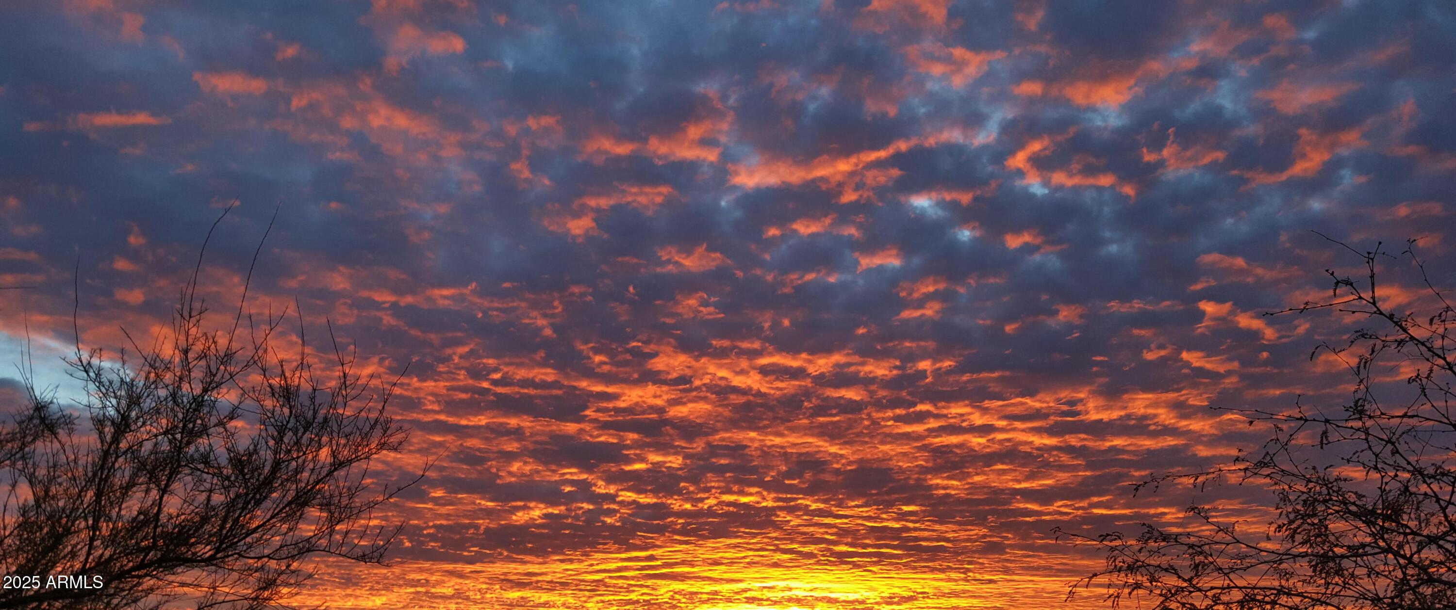 Photo #164