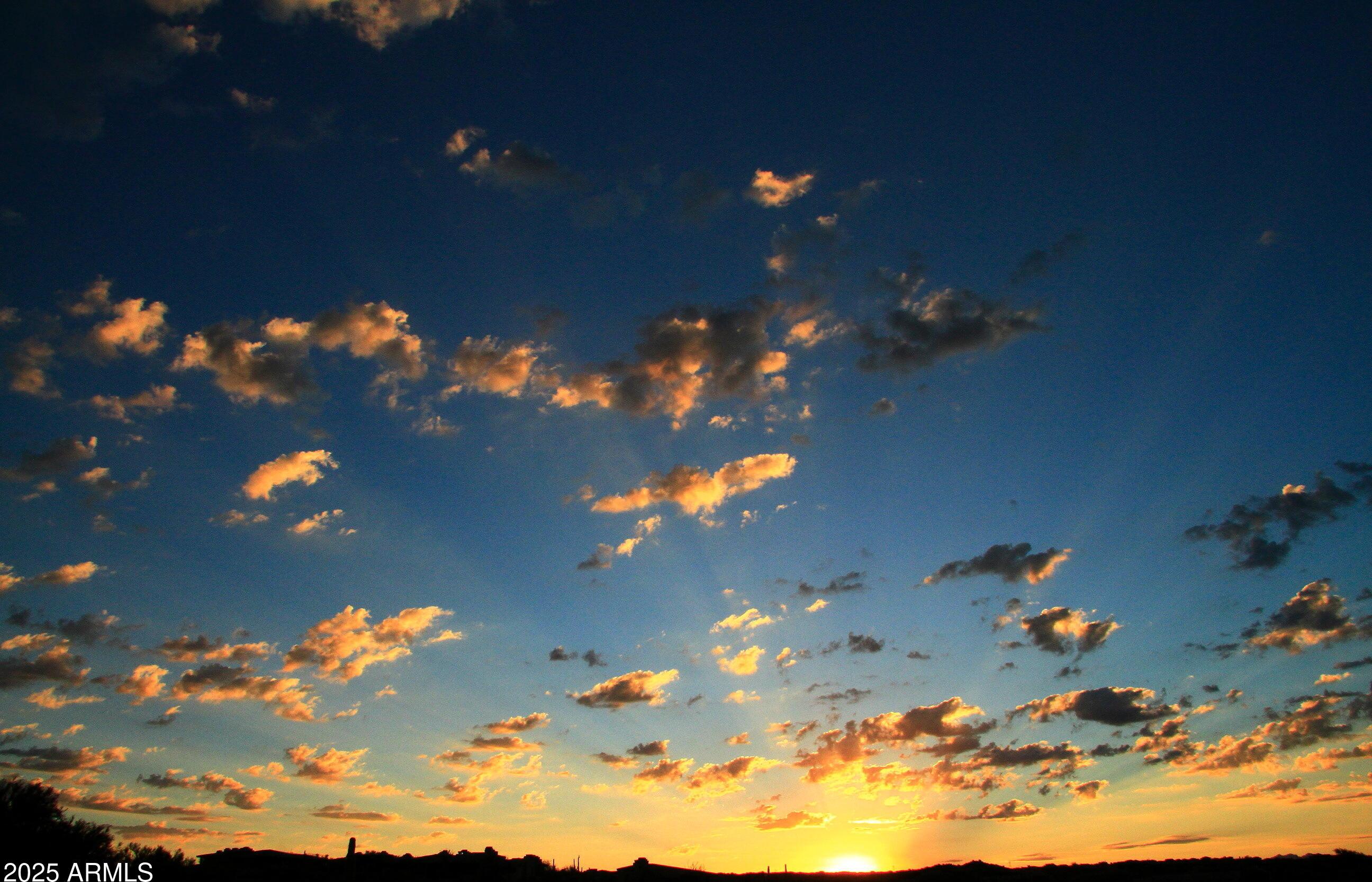 Photo #163