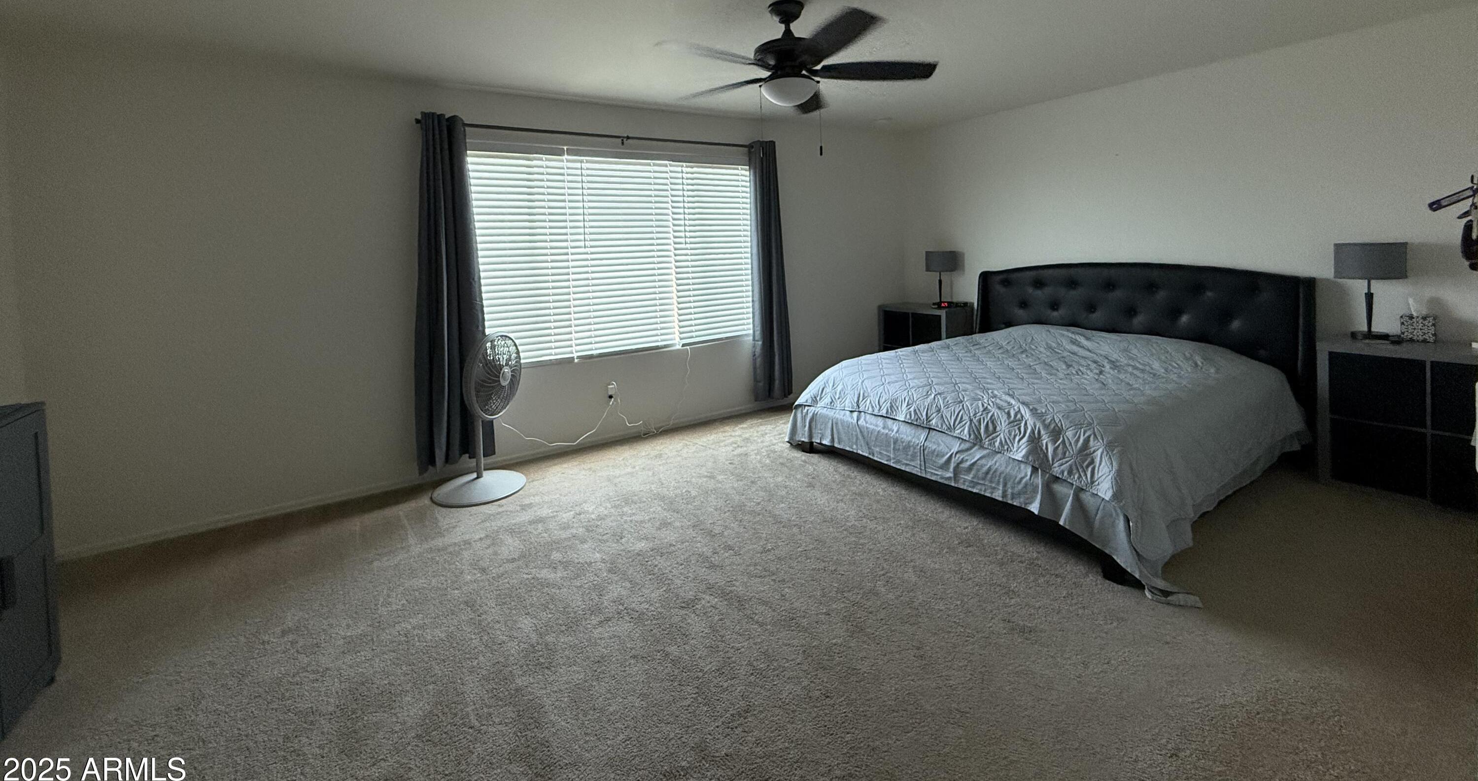 Photo #31