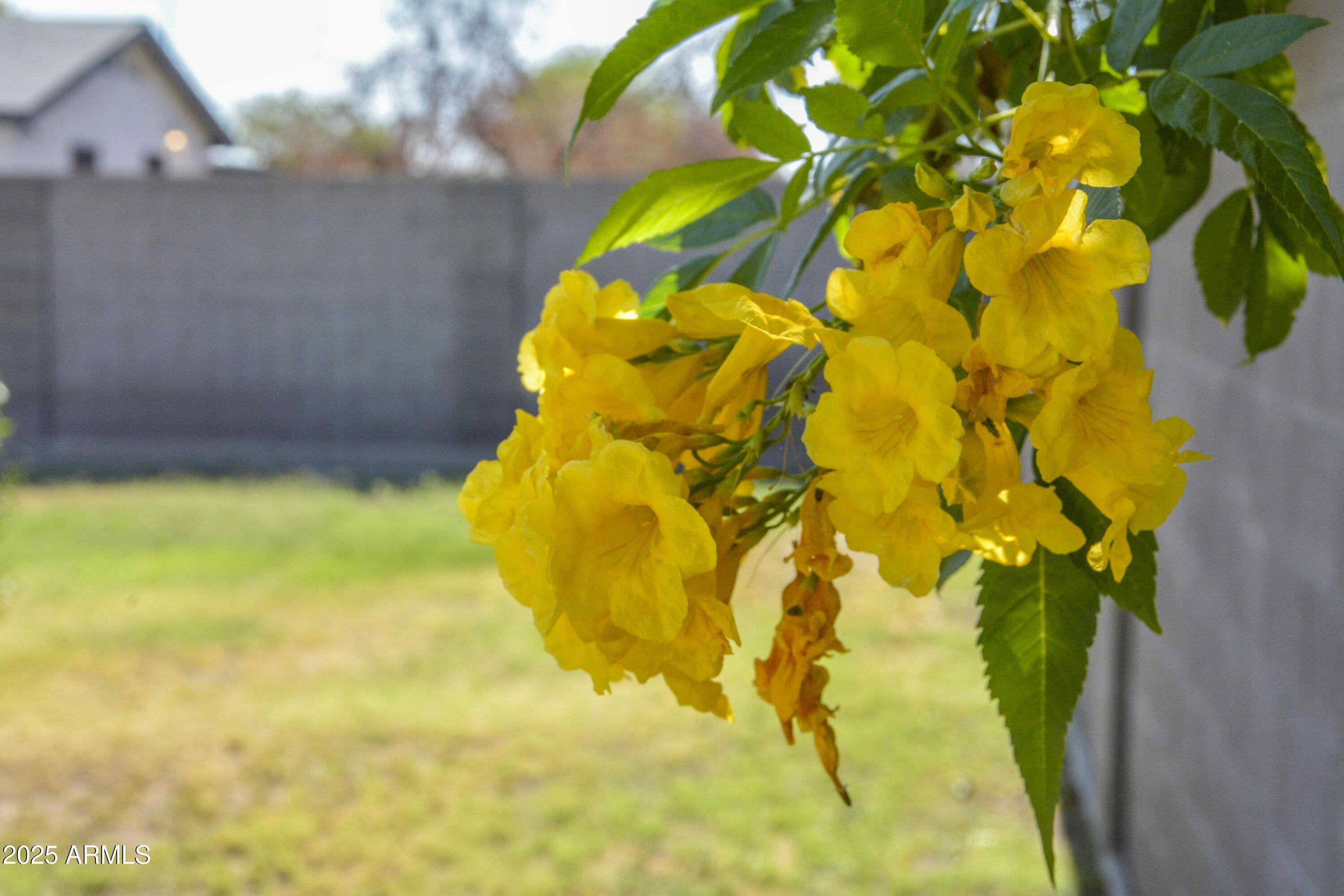 Photo #54