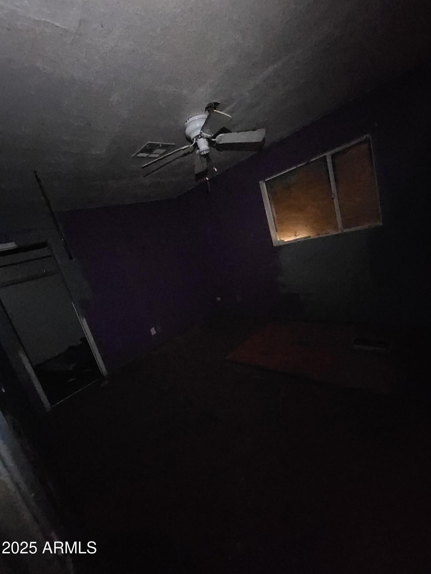 Photo #5