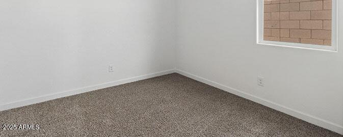 Photo #11
