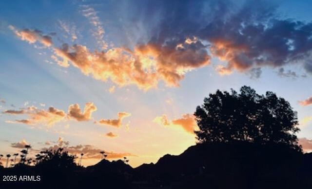 Photo #19