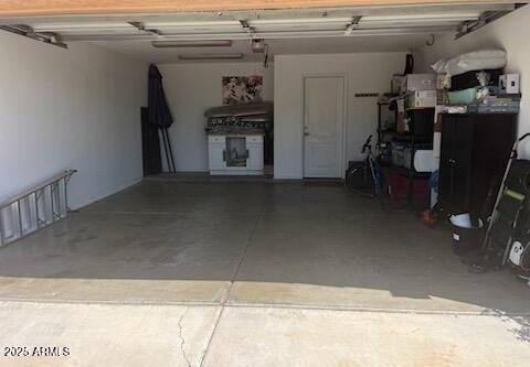 Photo #16