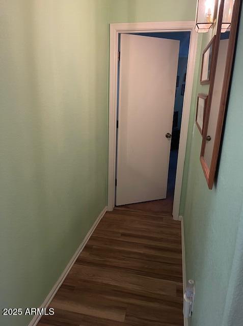 Photo #21