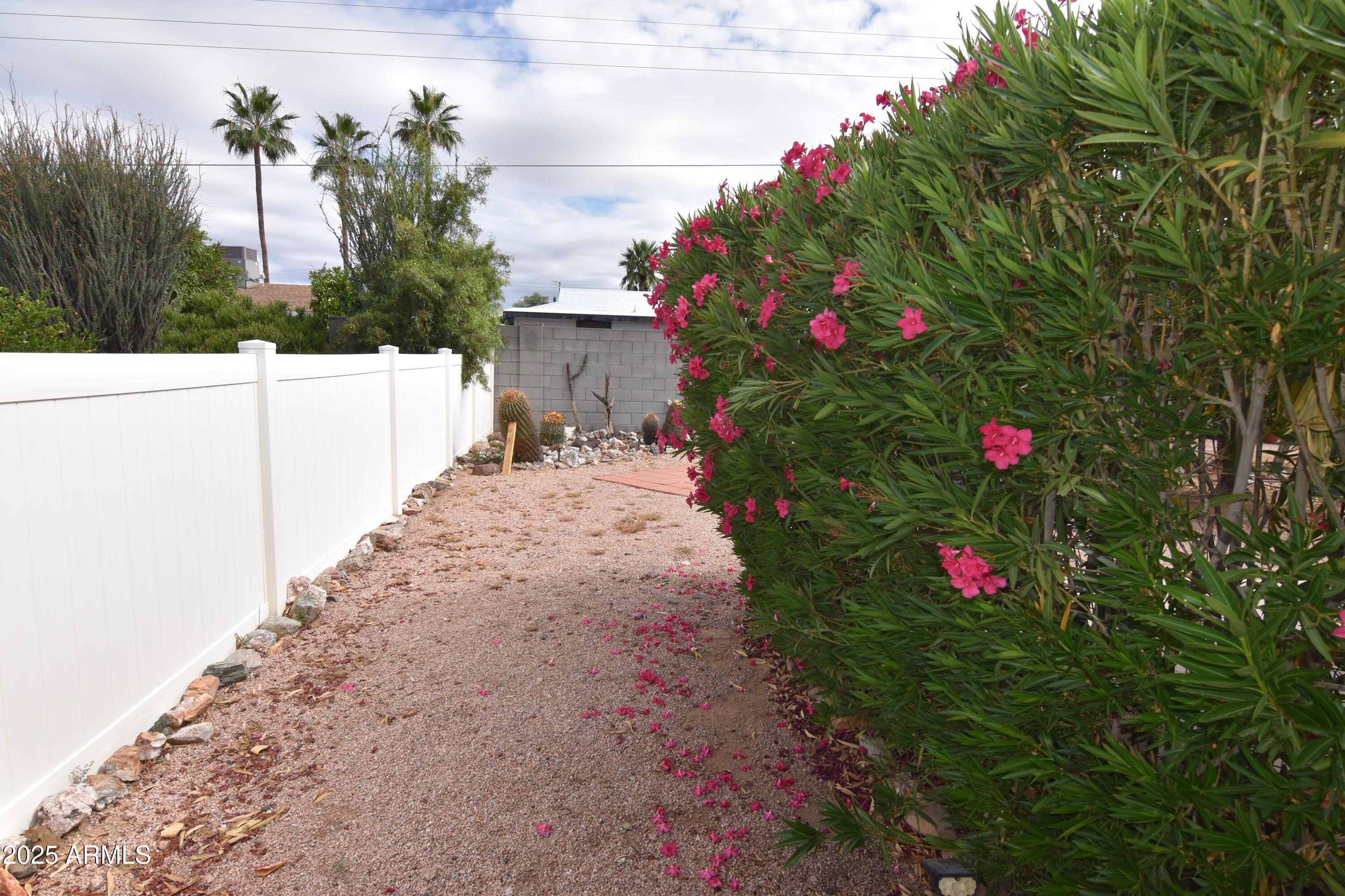 Photo #28