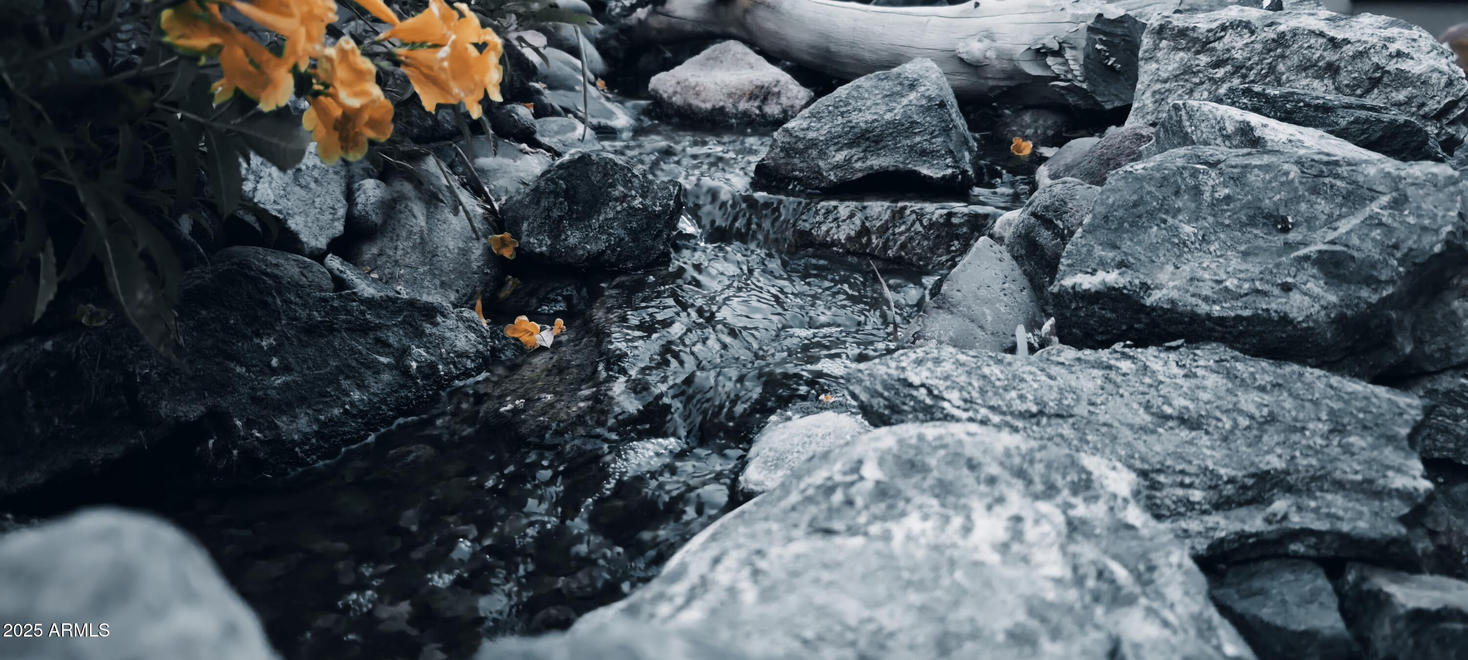 Photo #51