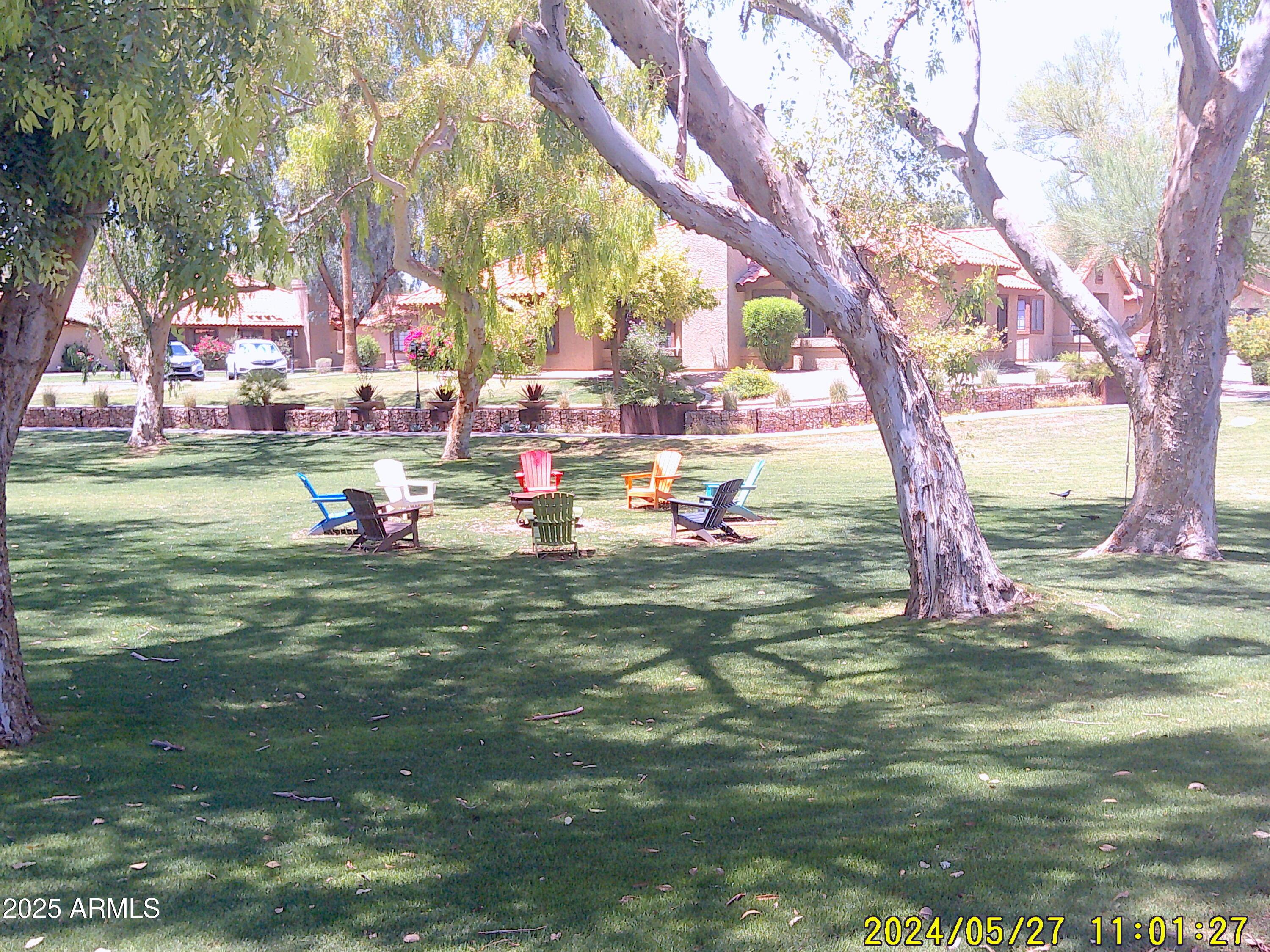 Photo #31