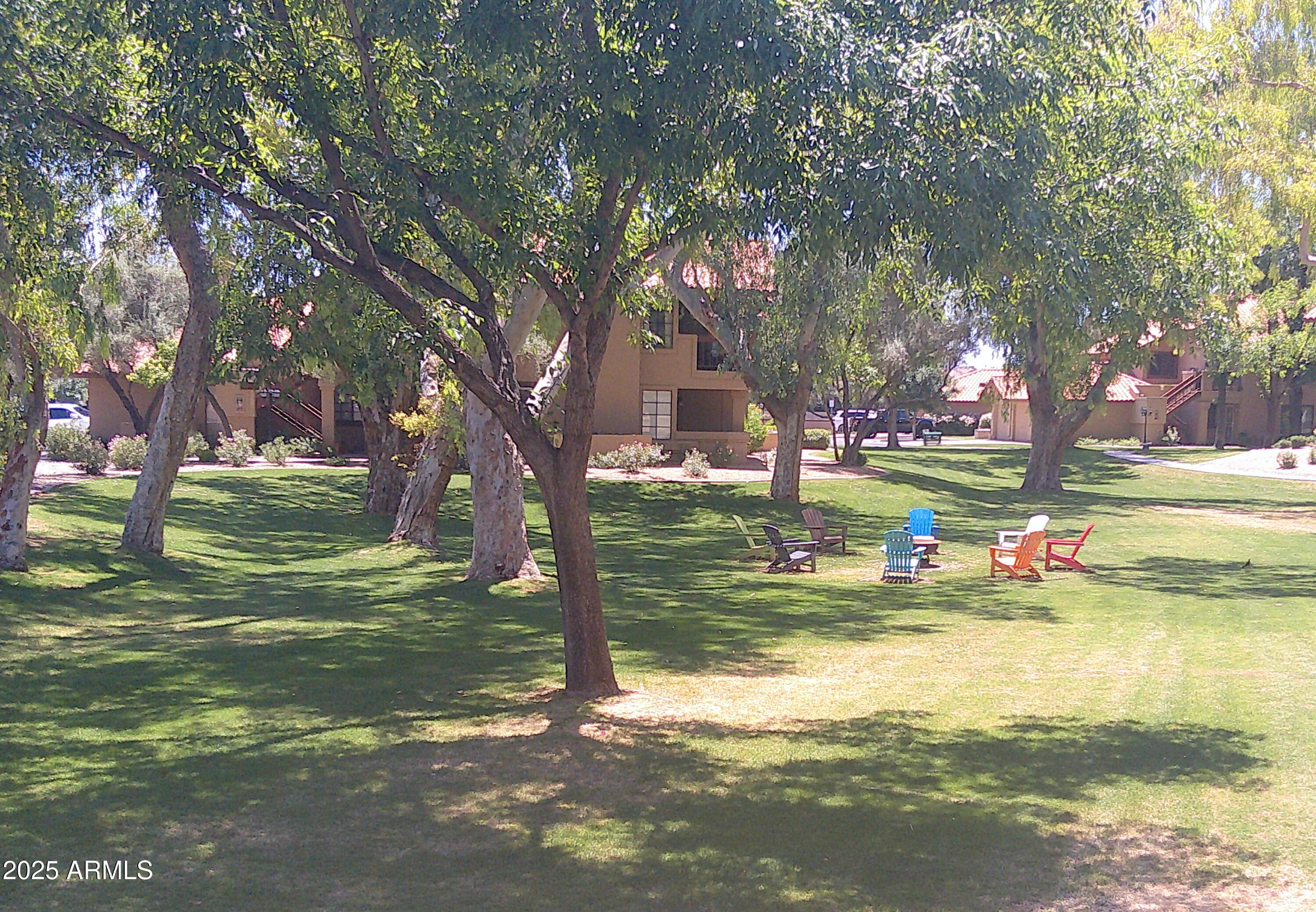 Photo #32