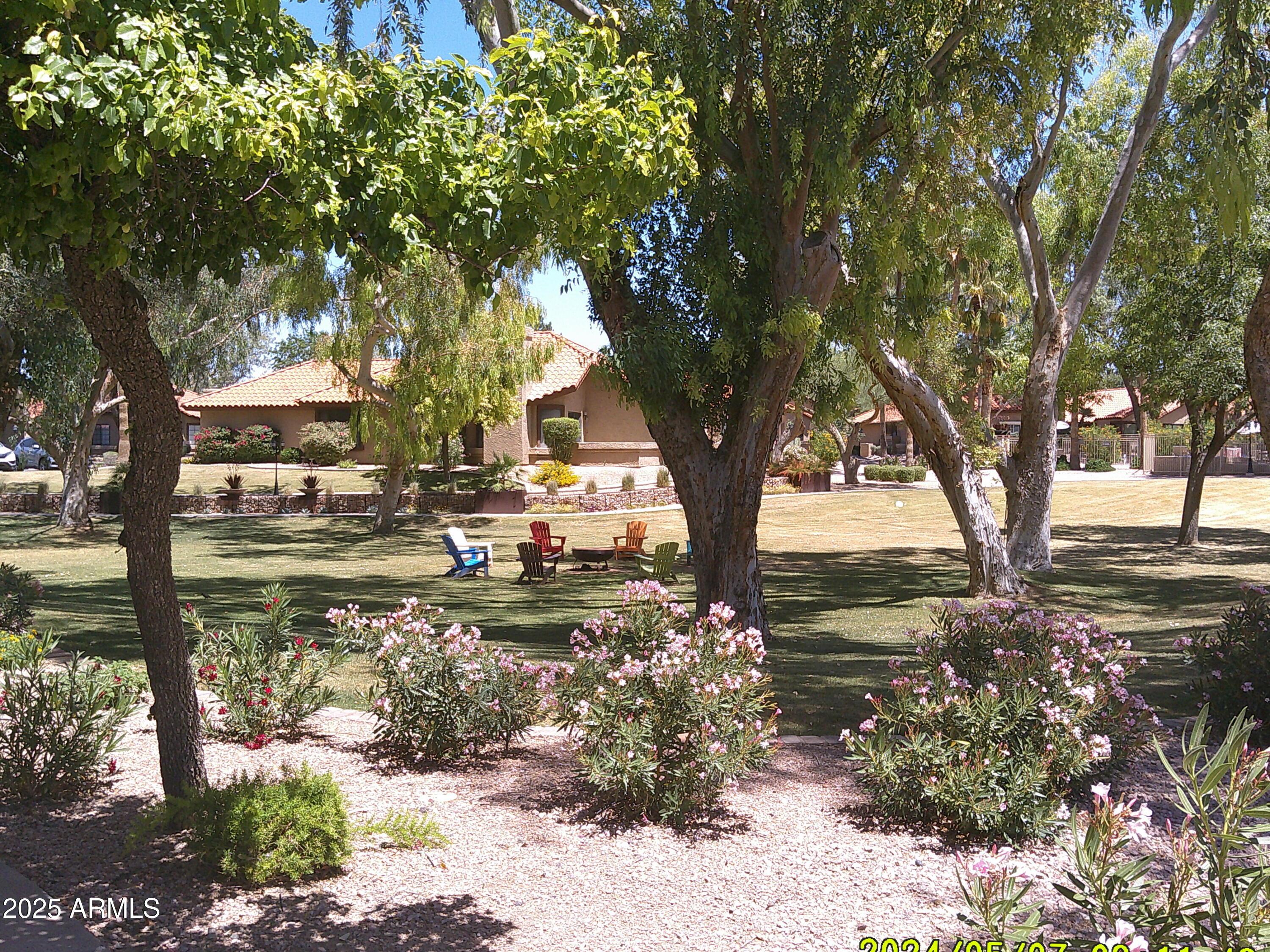 Photo #29