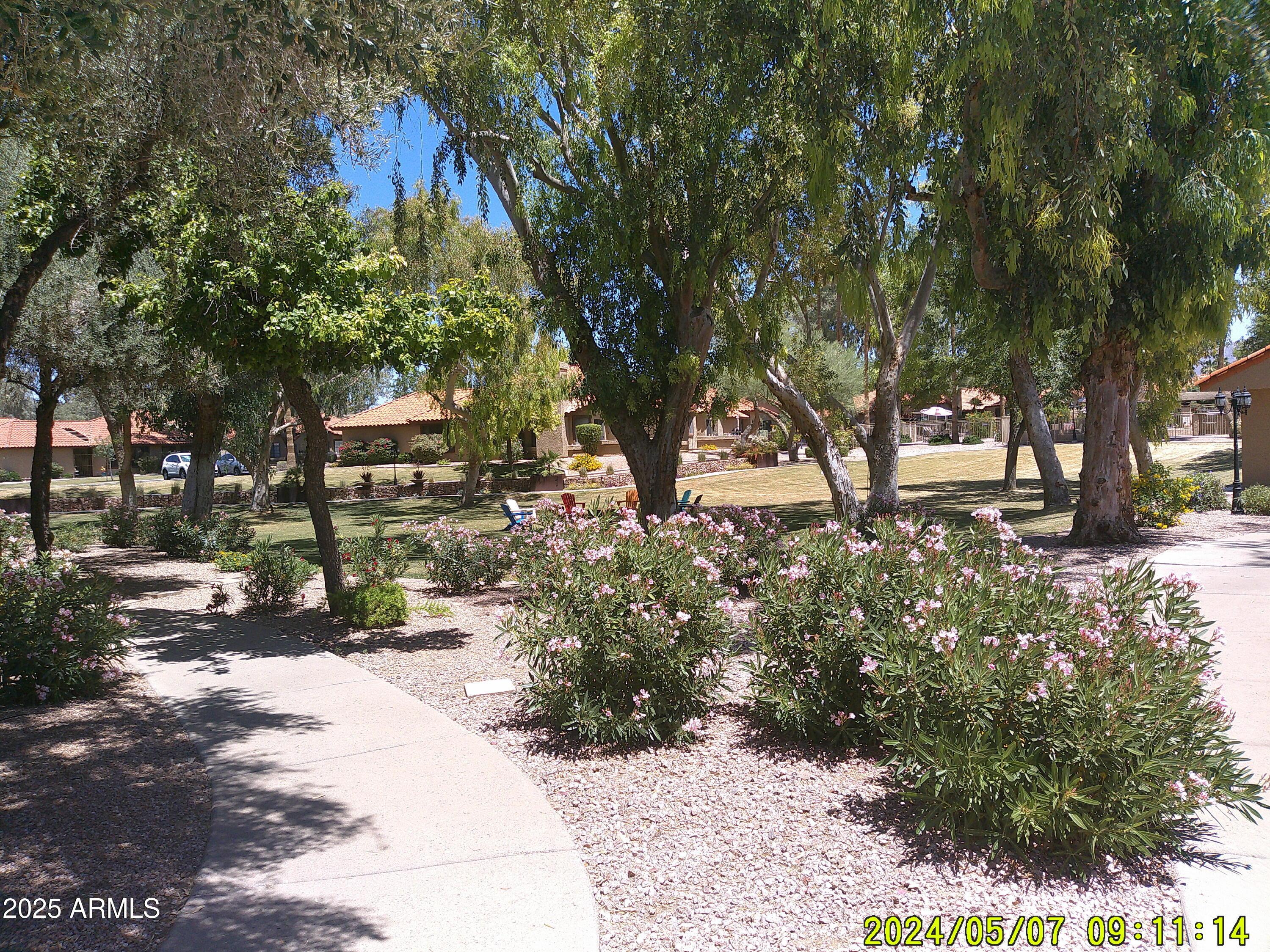 Photo #28
