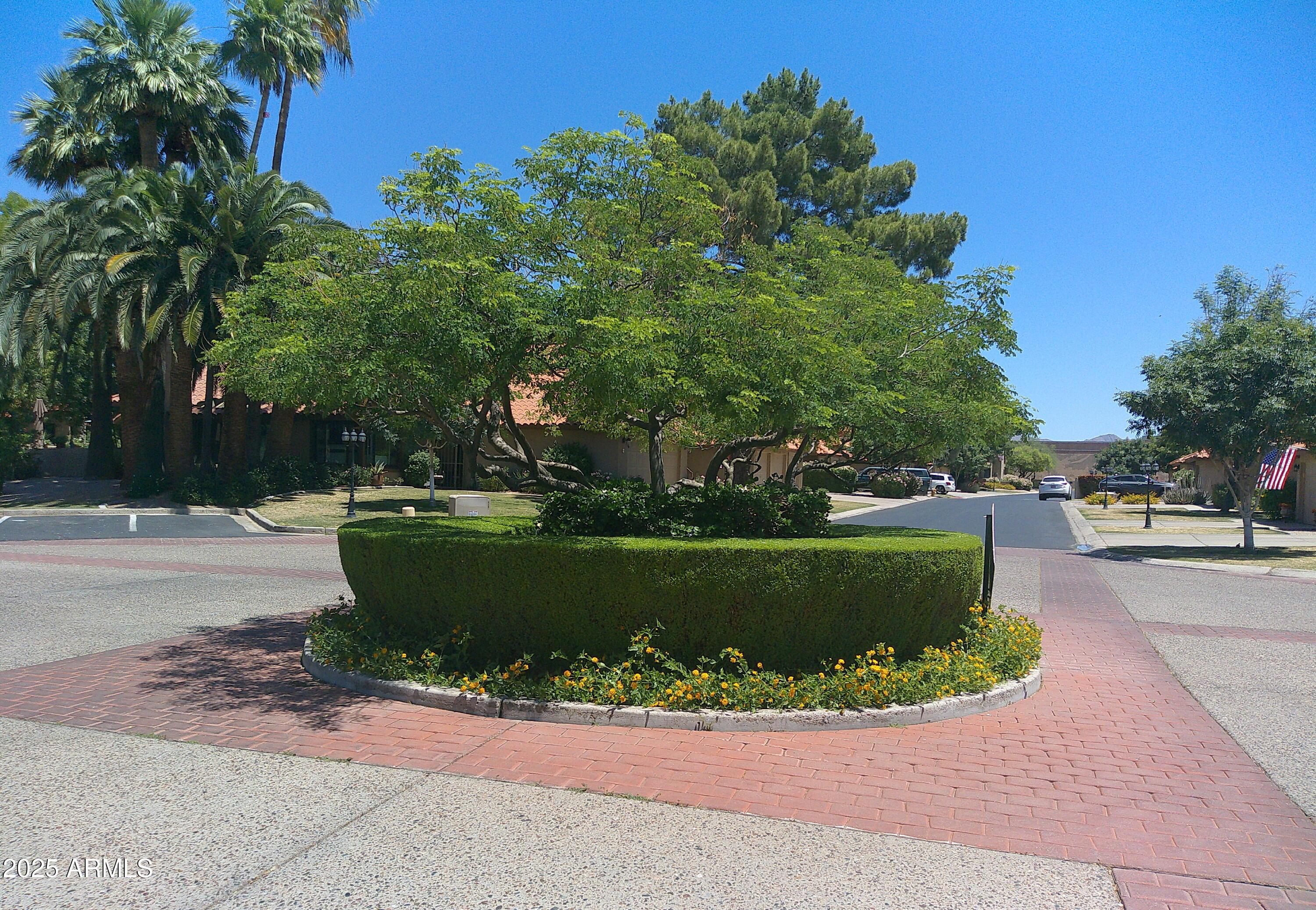 Photo #37