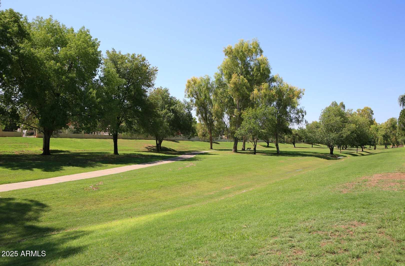Photo #44