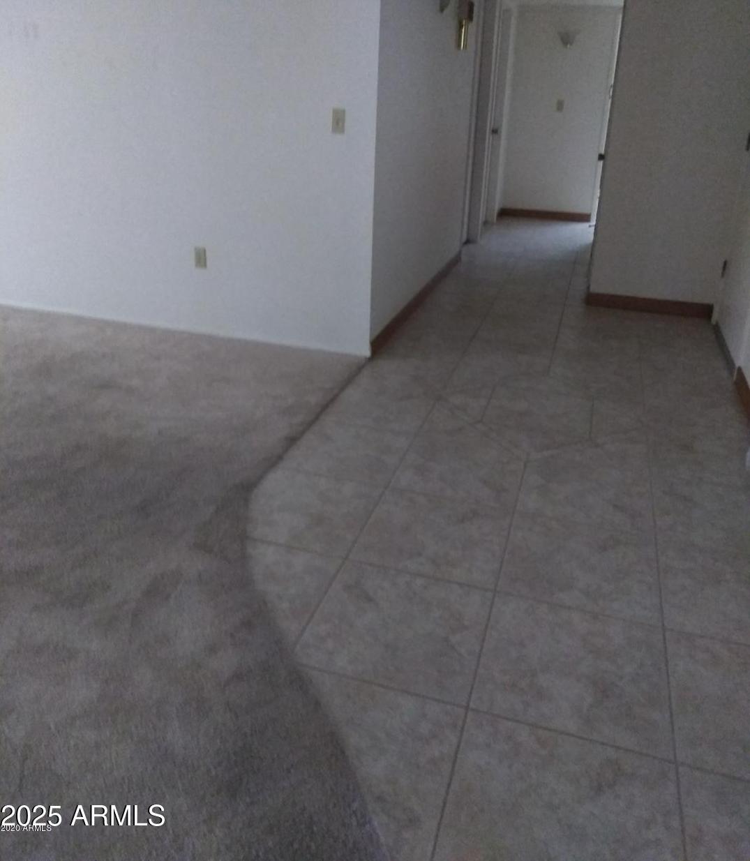 Photo #24