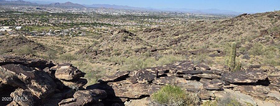 Photo #35