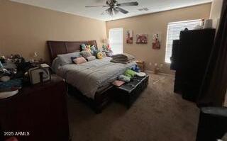 Photo #5