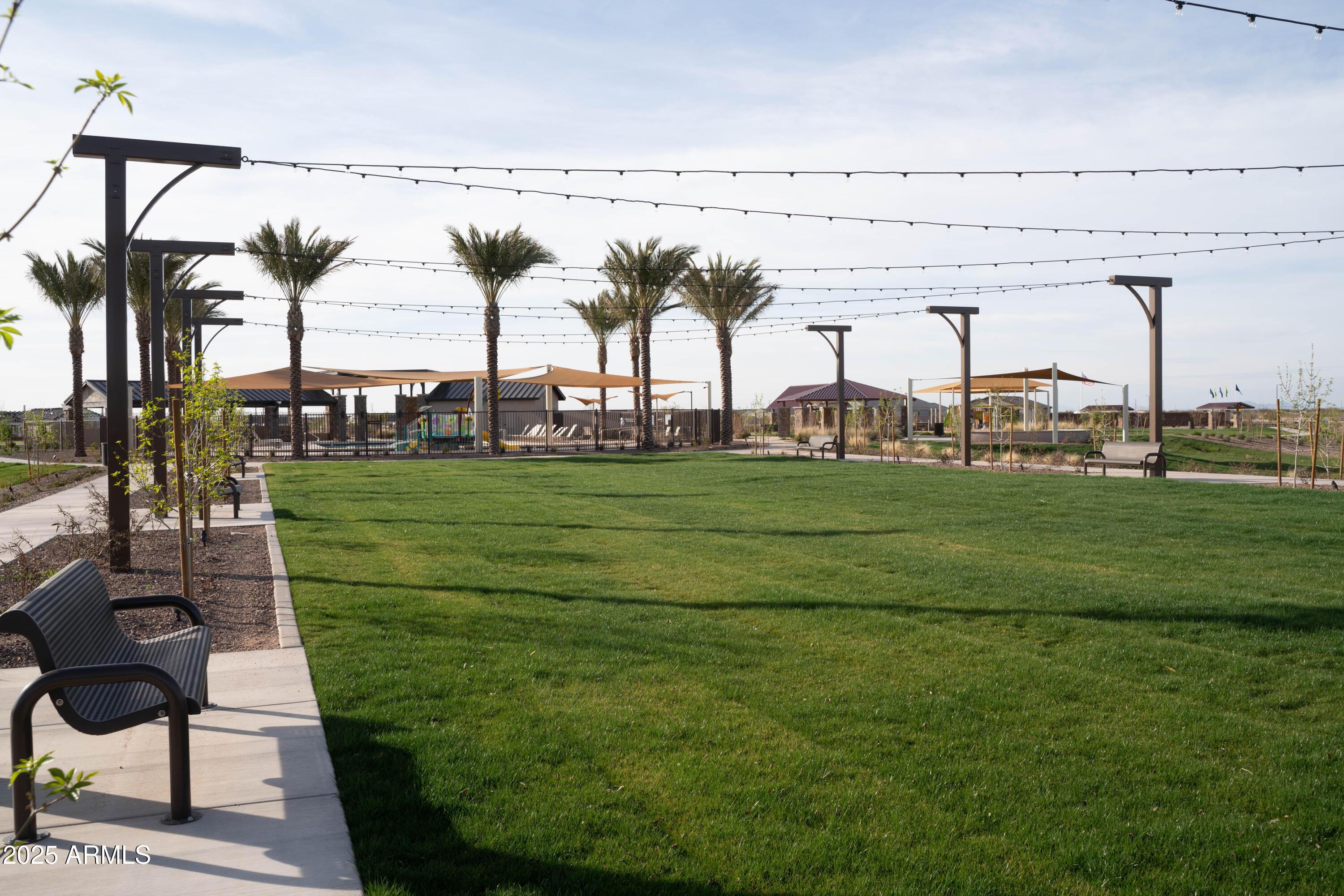 Photo #31