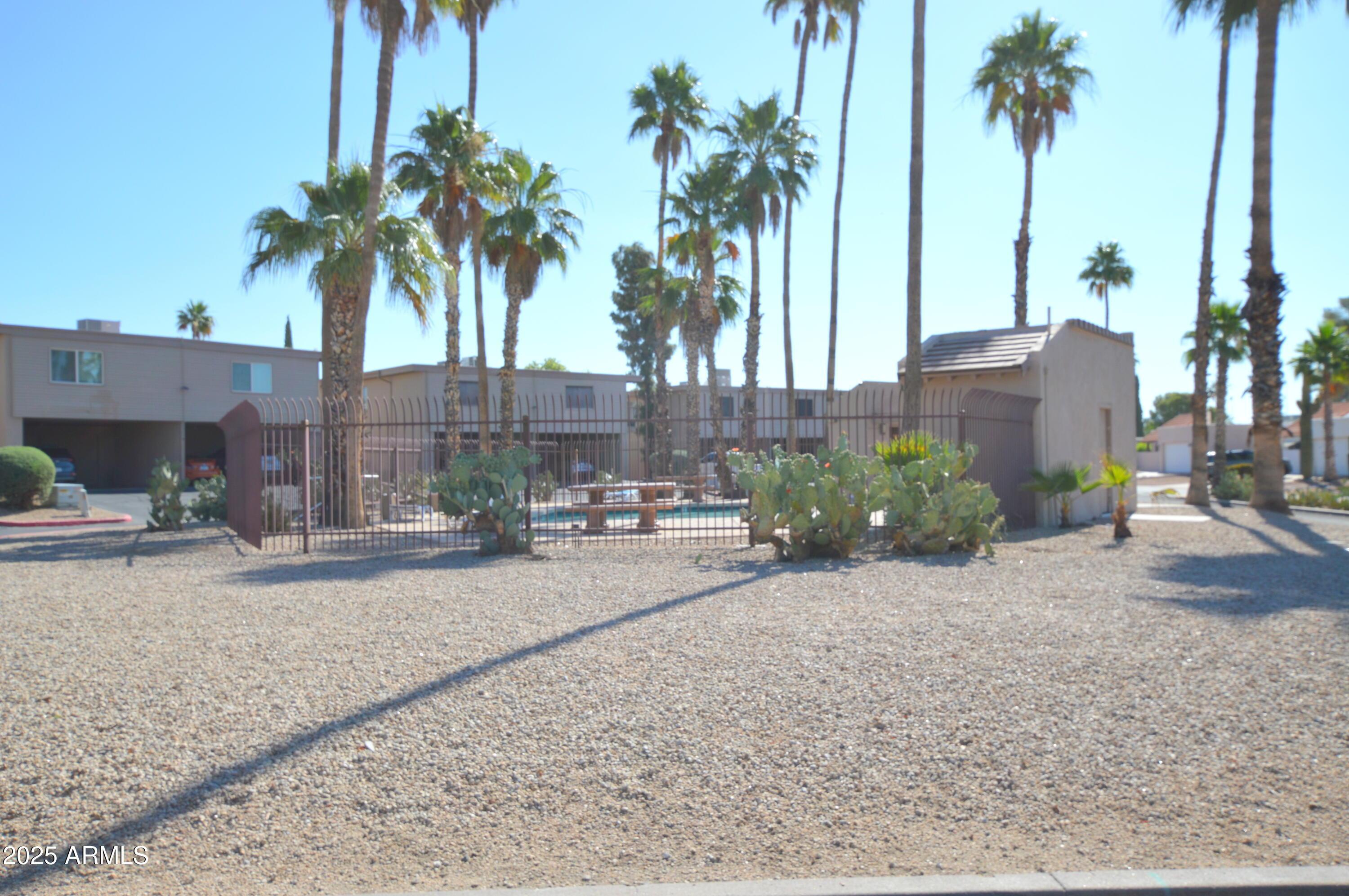 Photo #28